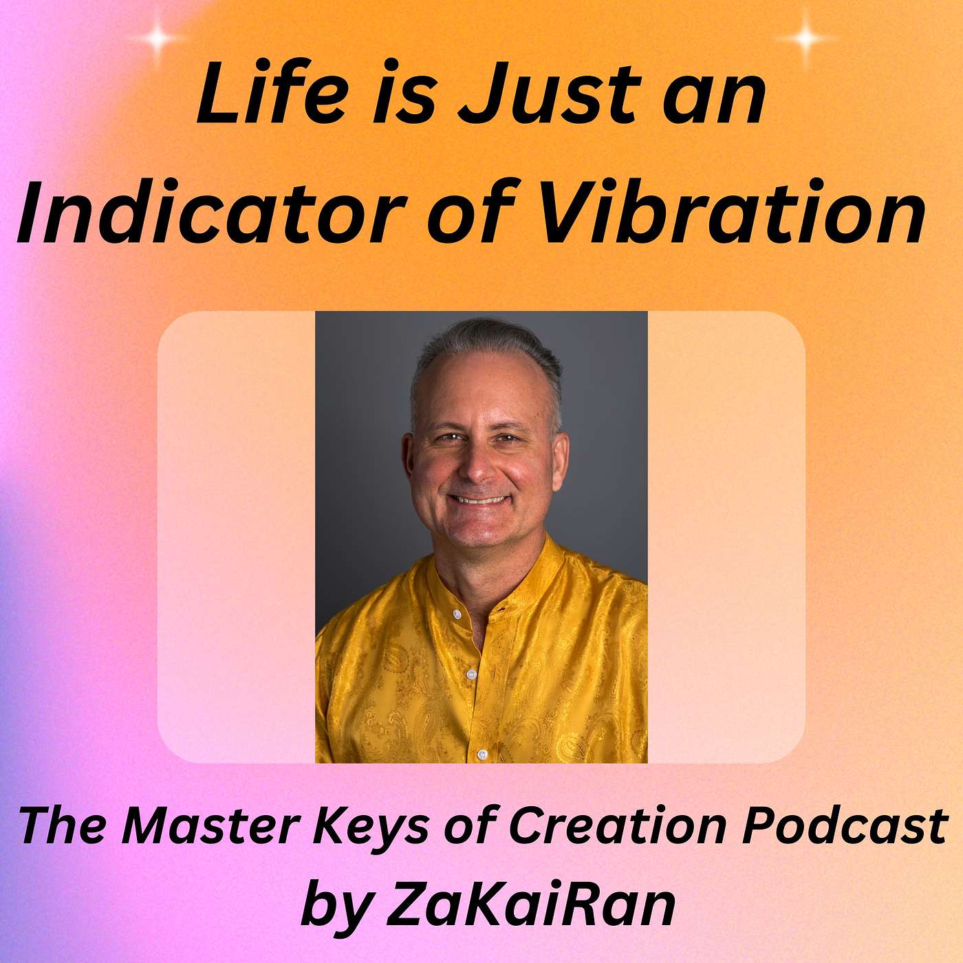 Life is Just an Indicator of Vibration episode artwork