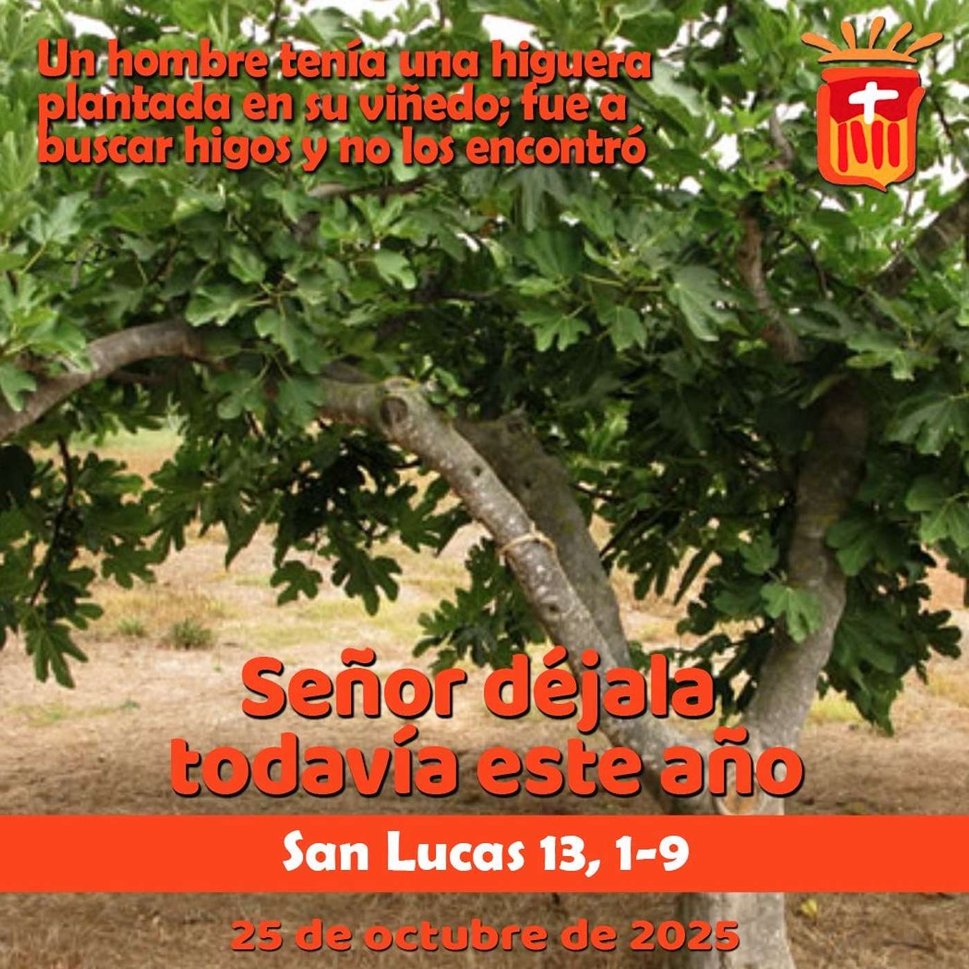 2025-10-25 San Lucas 13, 1-9: Sábado XXIX Ordinario