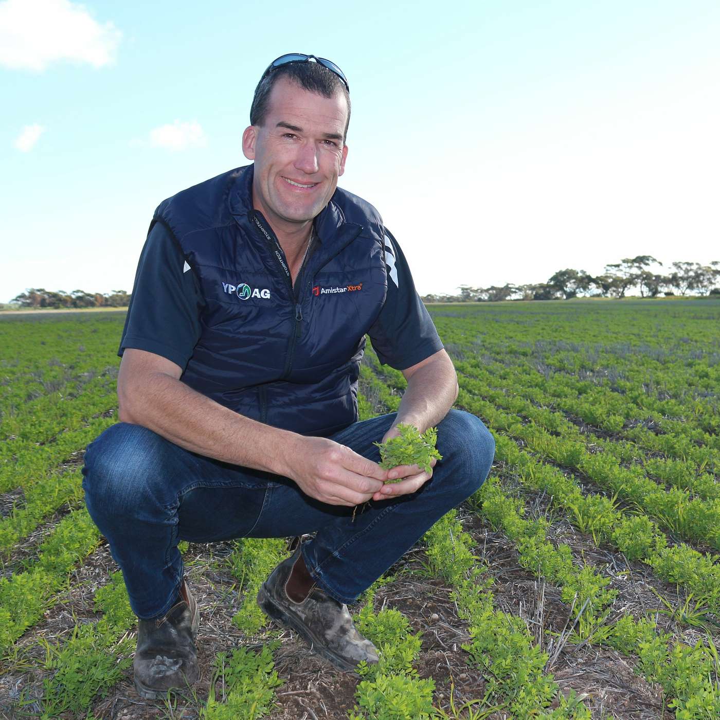 Weather forecast accuracy and crop competition trial results