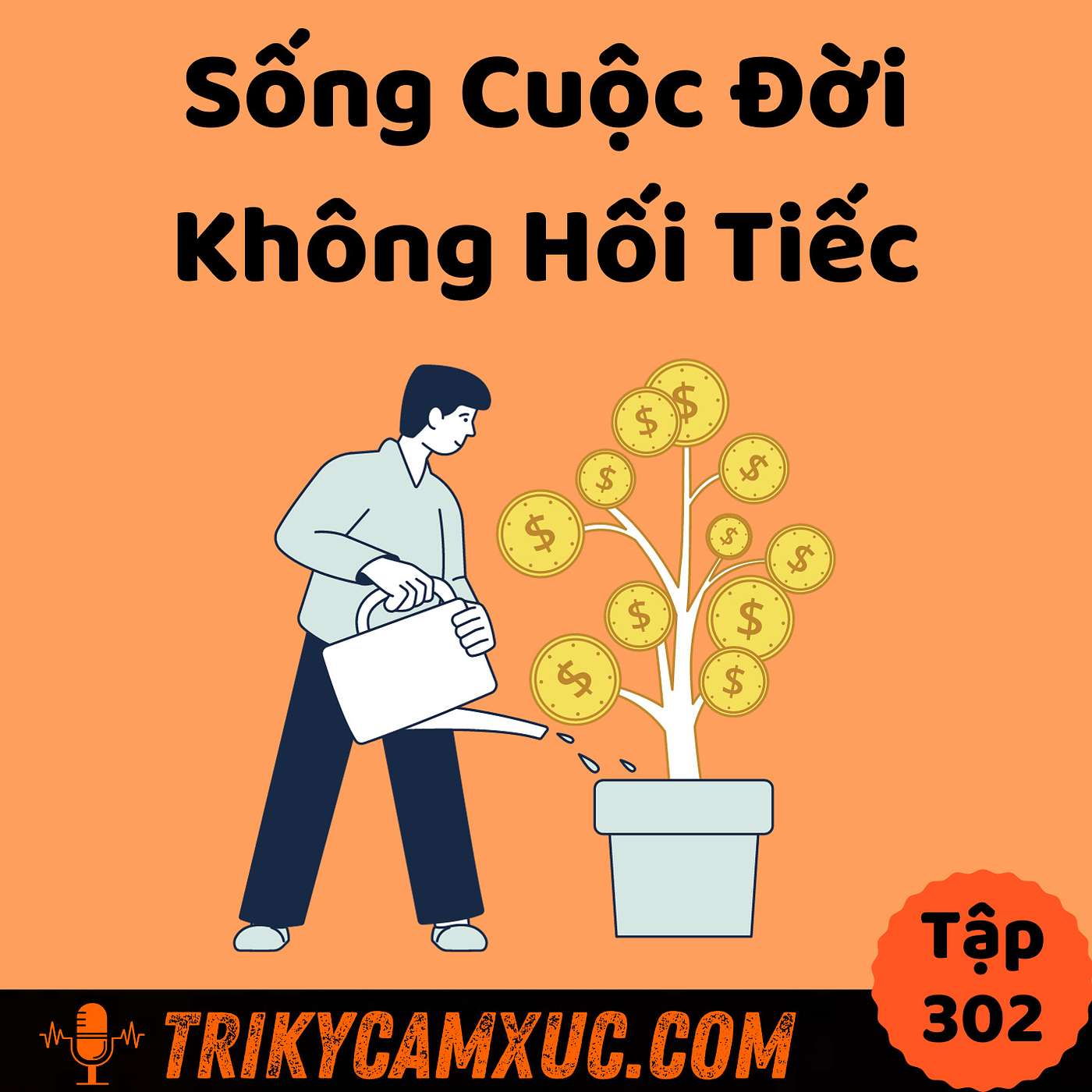 Làm Sao Sống Cuộc Đời Không Hối Tiếc? - Tri Kỷ Cảm Xúc #302