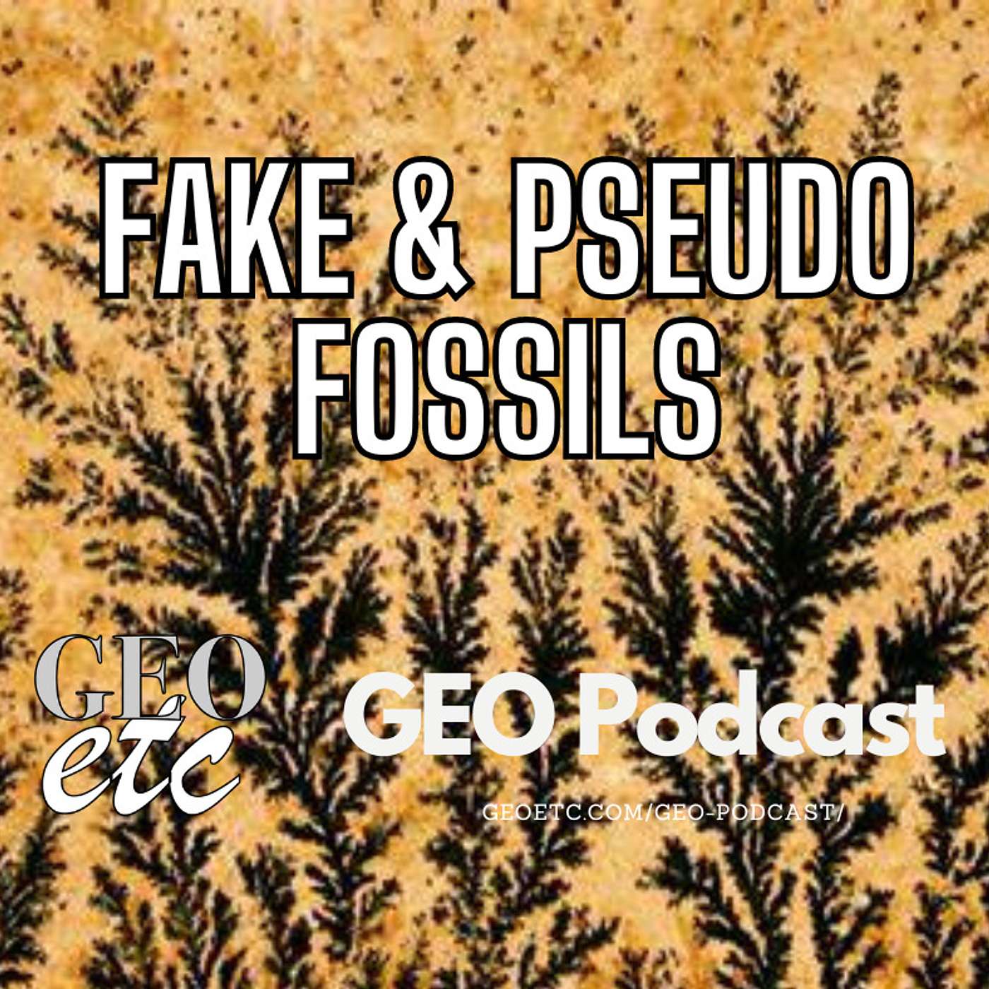 Fake & Pseudo Fossils