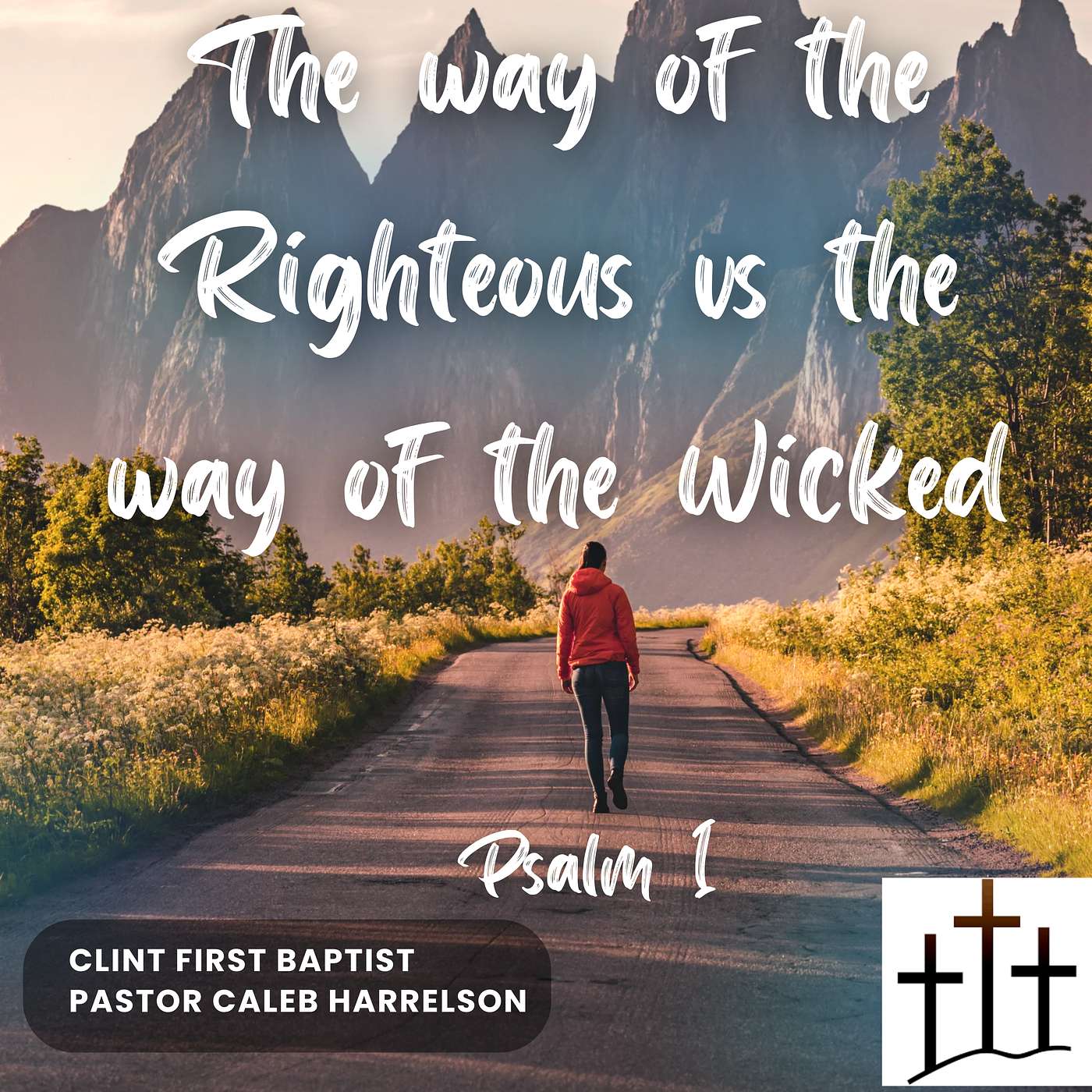 The Way of the Righteous vs the way of the wicked (Psalm 1) episode artwork