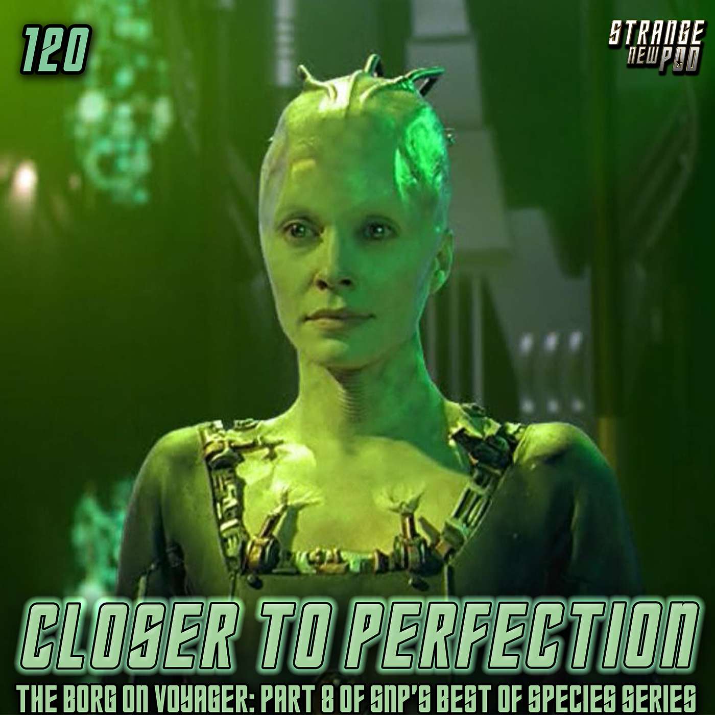 Closer to Perfection | The Best of the Borg on Voyager