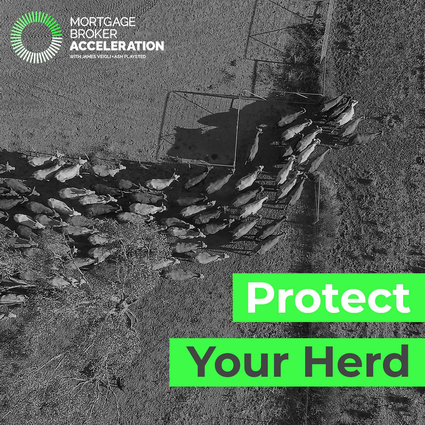 Protect Your Herd