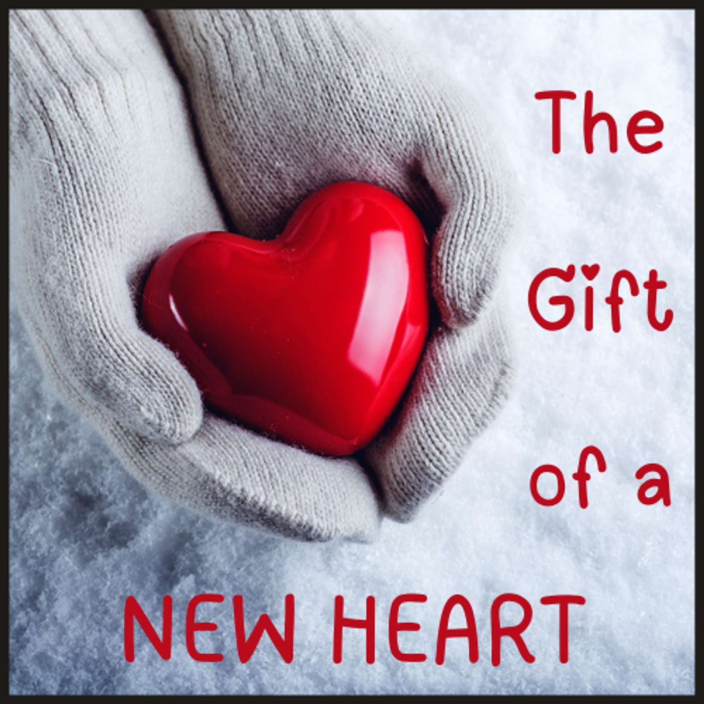 Into His Marvelous Light