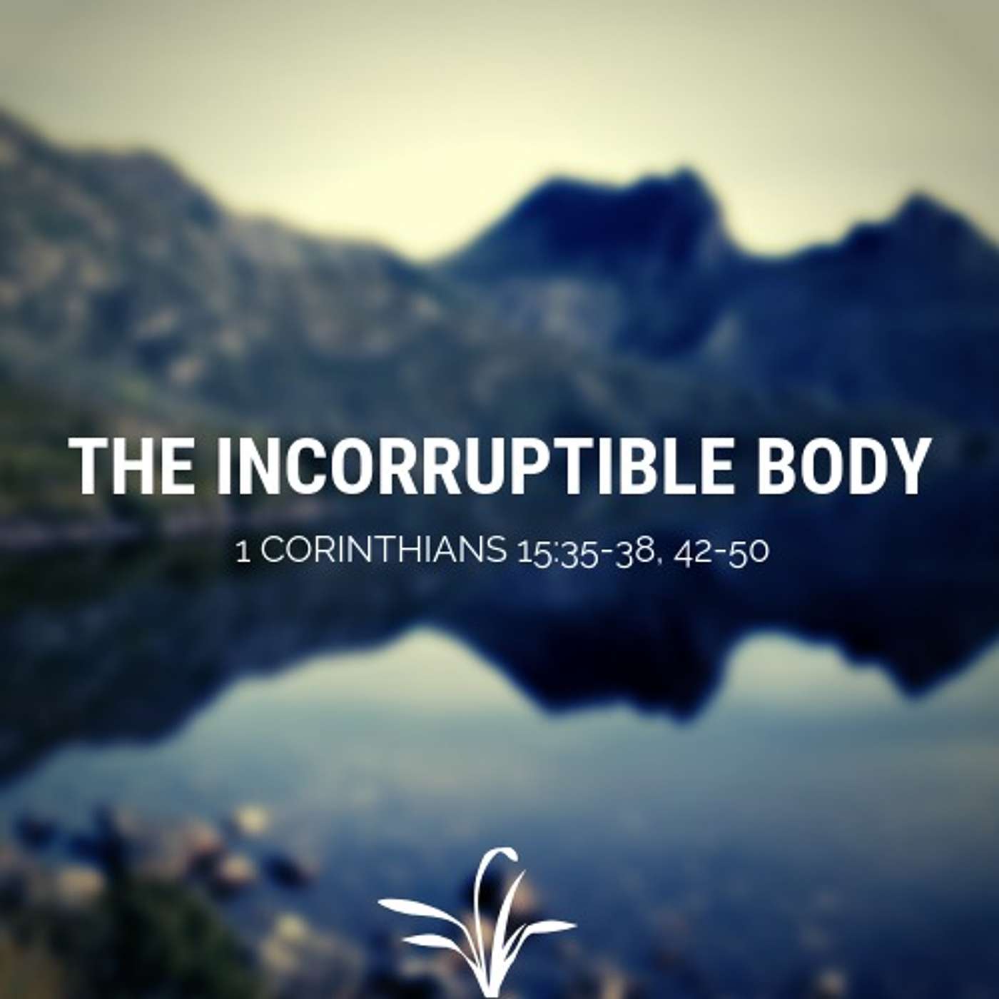 The Incorruptible Body