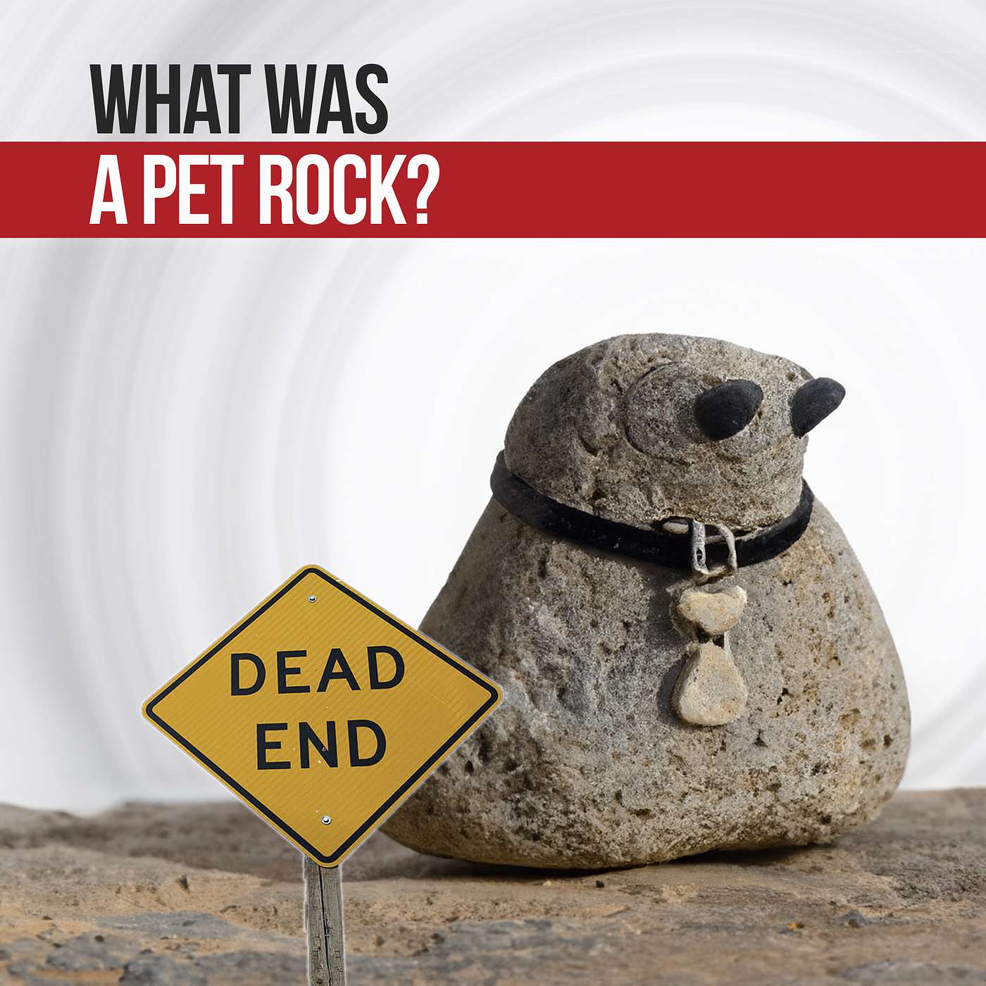 What Was A Pet Rock? A Dirt Nap City Dead End episode artwork