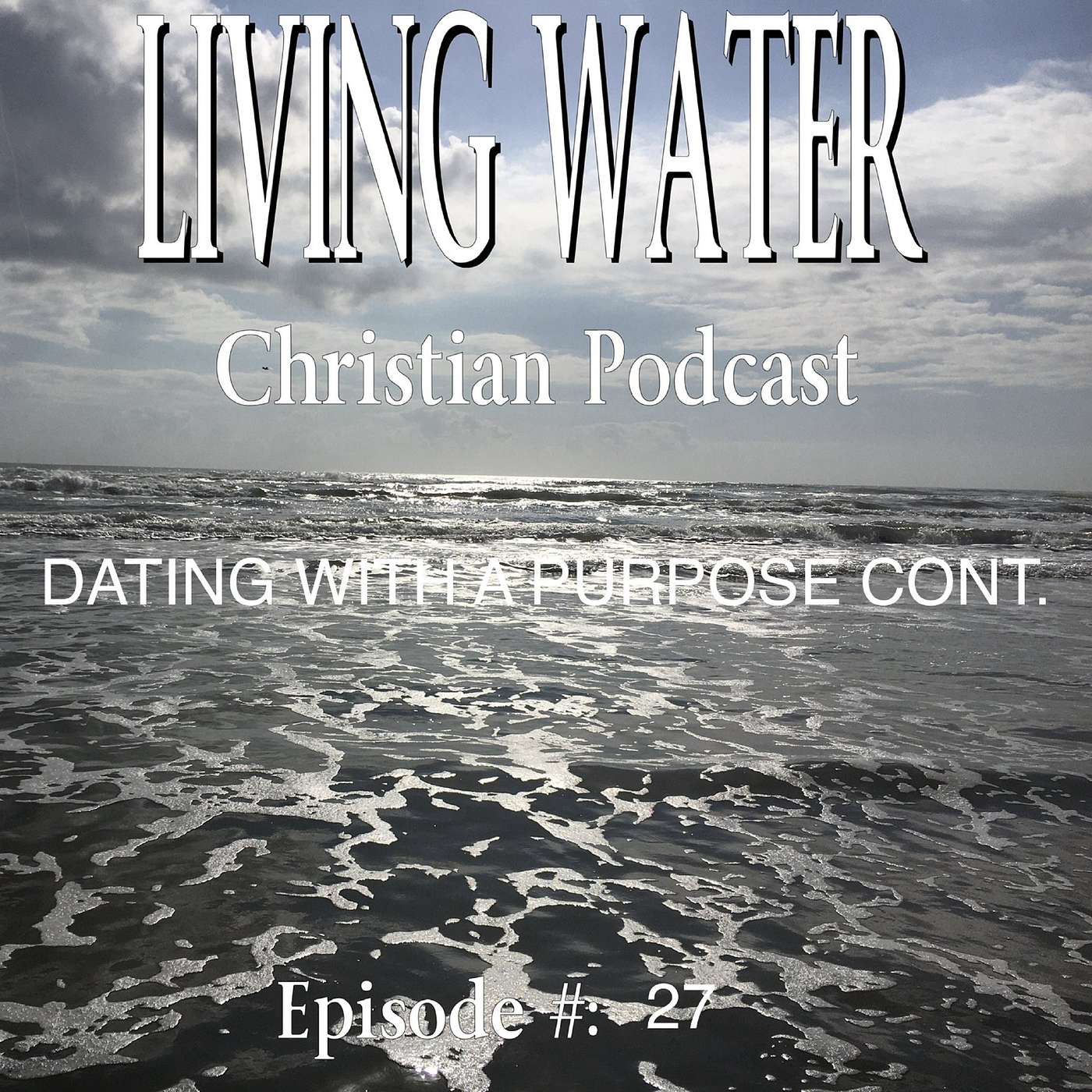 cover of episode DATING WITH A PURPOSE CONT.