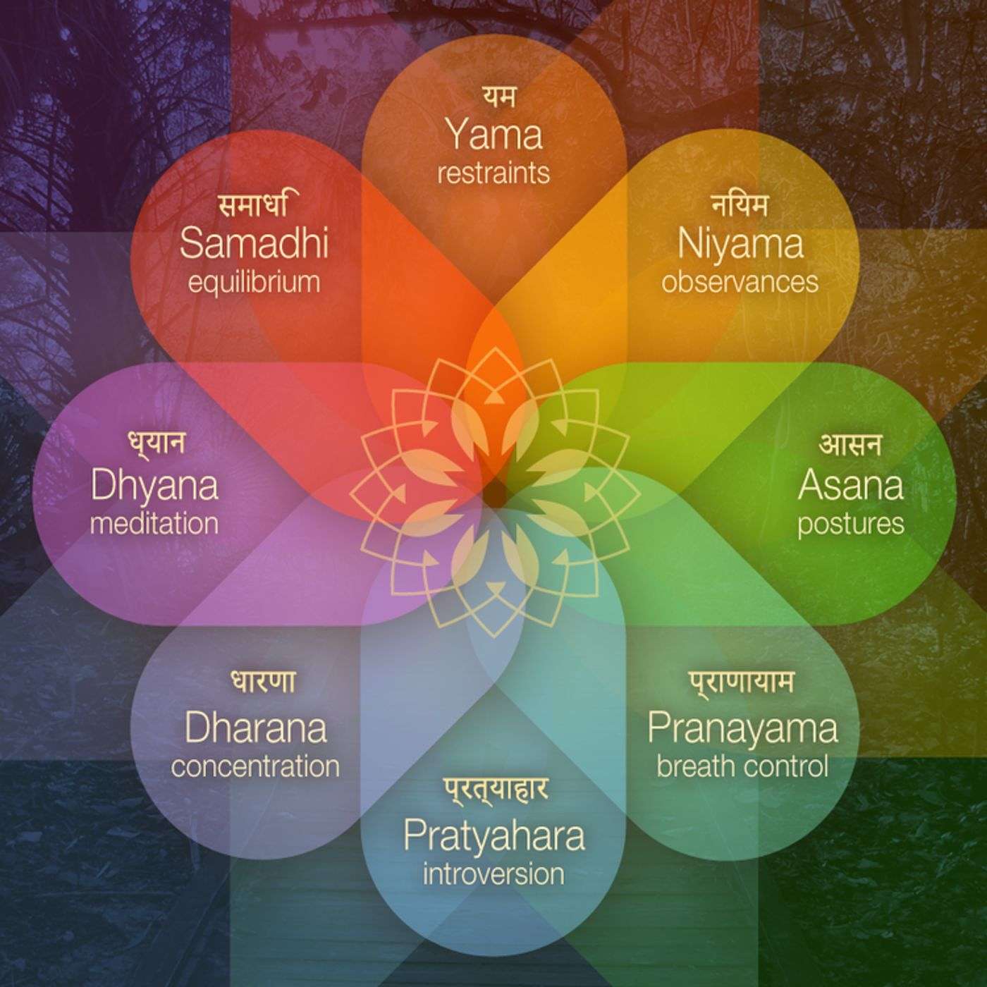 YogaVision - Kundalini Yoga Online