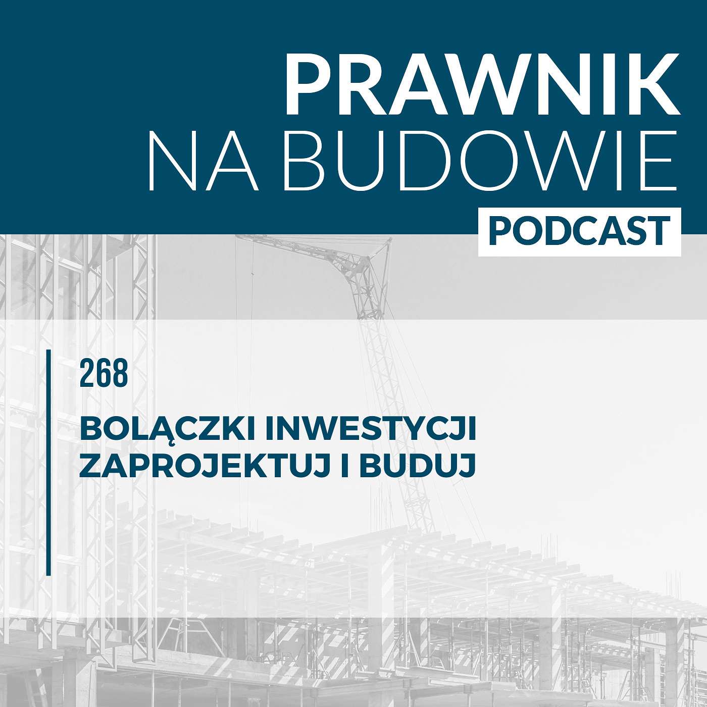 Bolączki inwestycji zaprojektuj i buduj #268 episode artwork