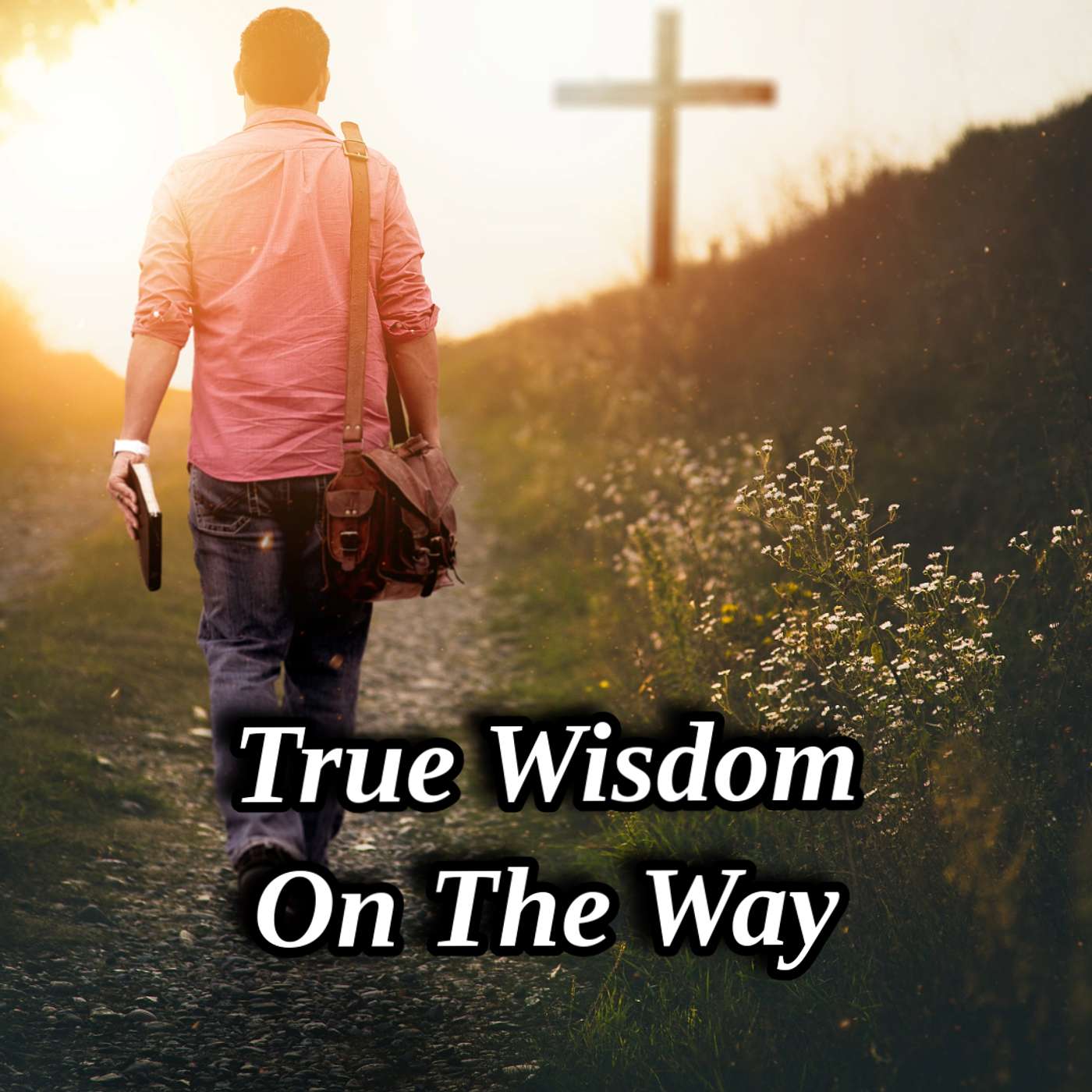 True Wisdom On The Way
