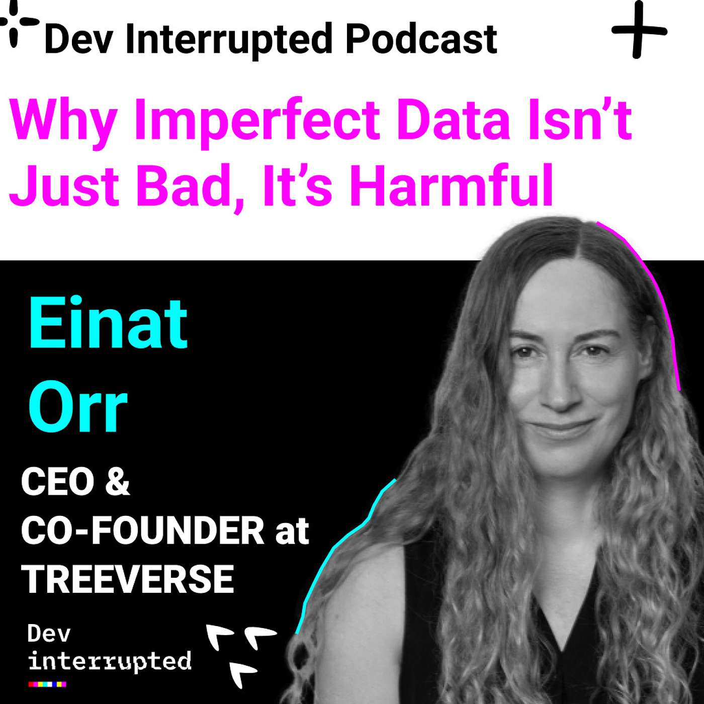 Dev Interrupted
