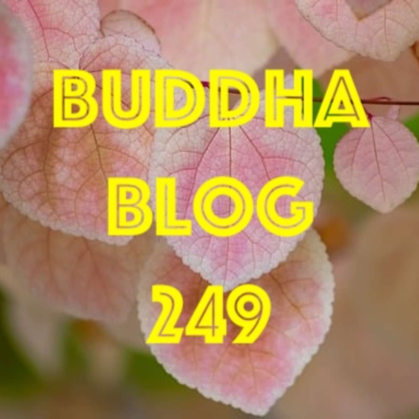 249-Der innere Widerstand - Buddha Blog - Buddhismus im Alltag 249-Der innere Widerstand - Buddha Blog - Buddhismus im Alltag