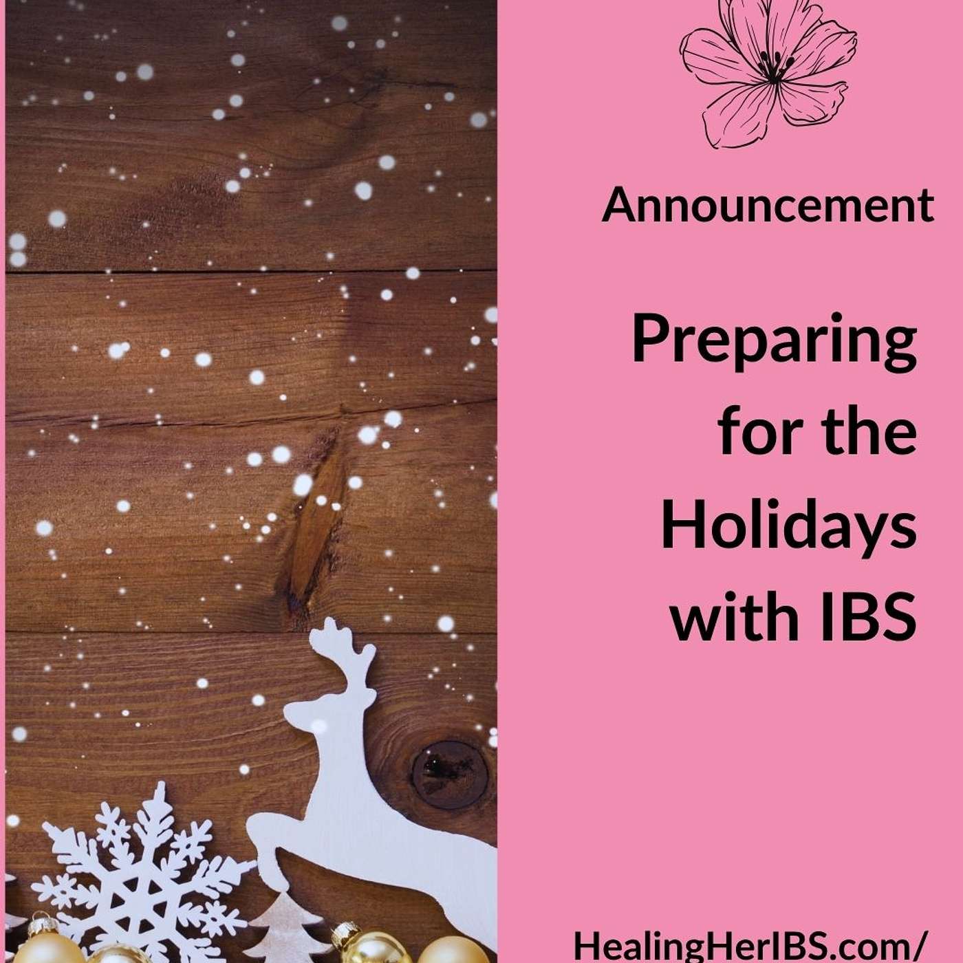 Announcement- Preparing for the Holidays with IBS Workshop