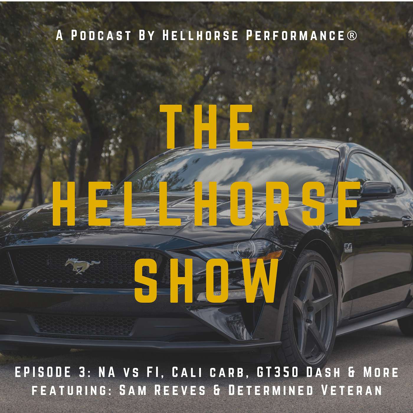 NA vs FI Basic Cost & Power, Cali Carb, GT350 Digital Dash & More