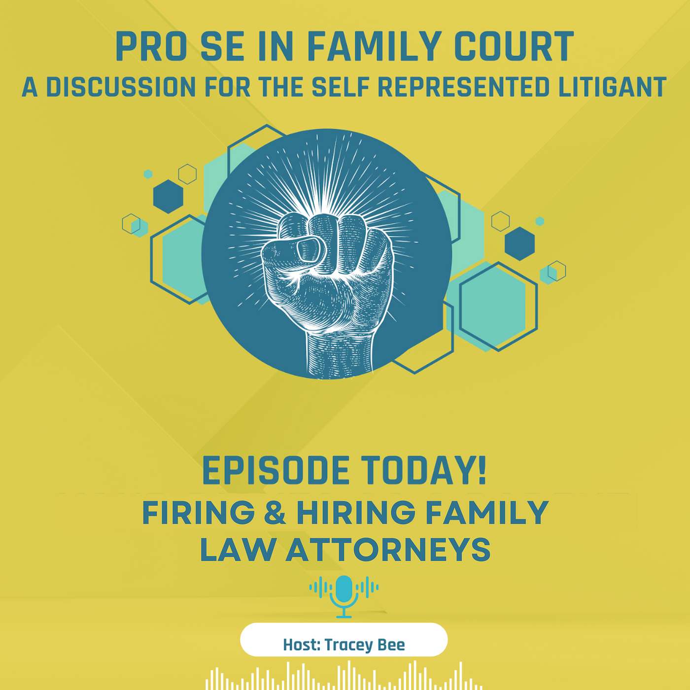 Episode 20 - Firing & Hiring Family Law Attorneys episode artwork