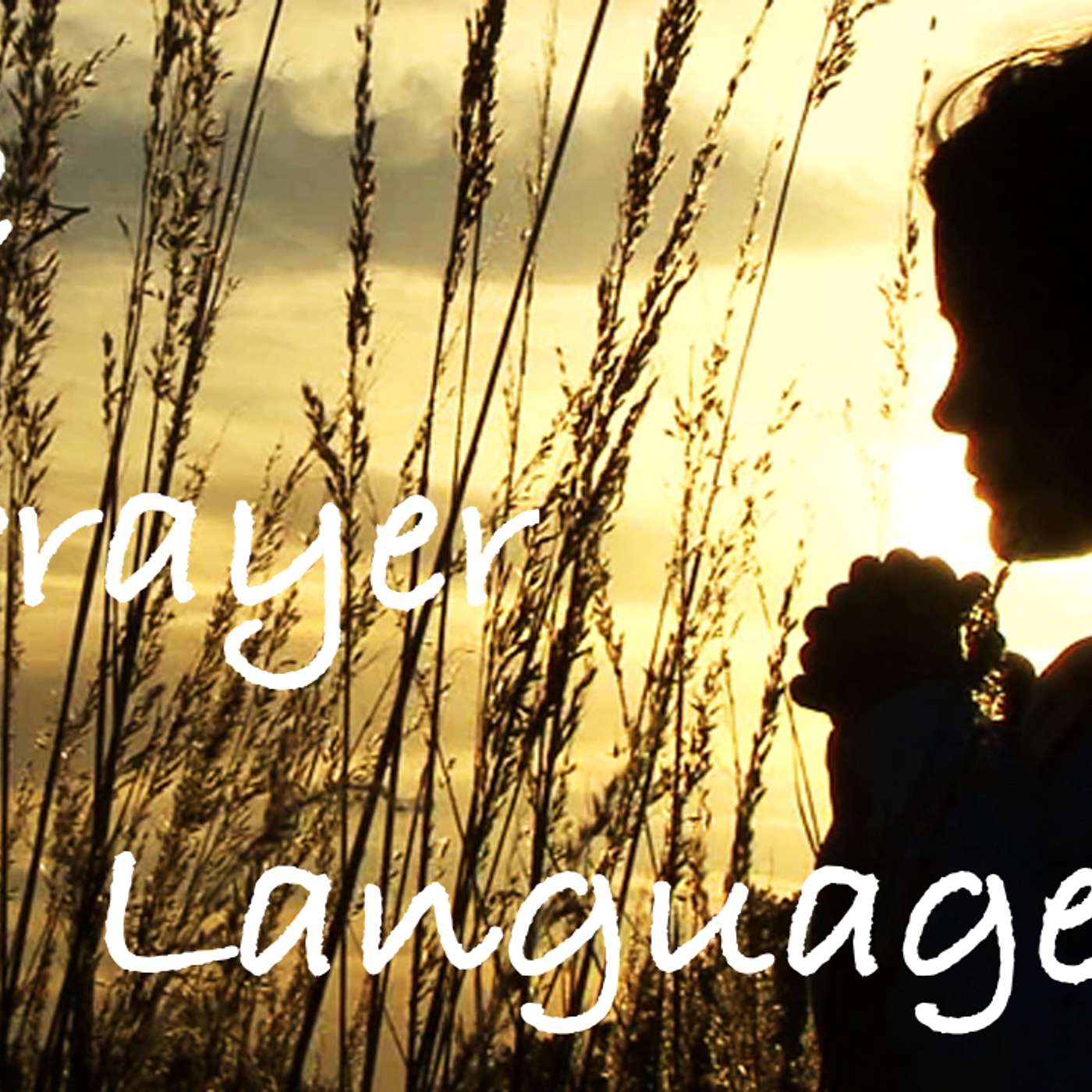The Prayer Language