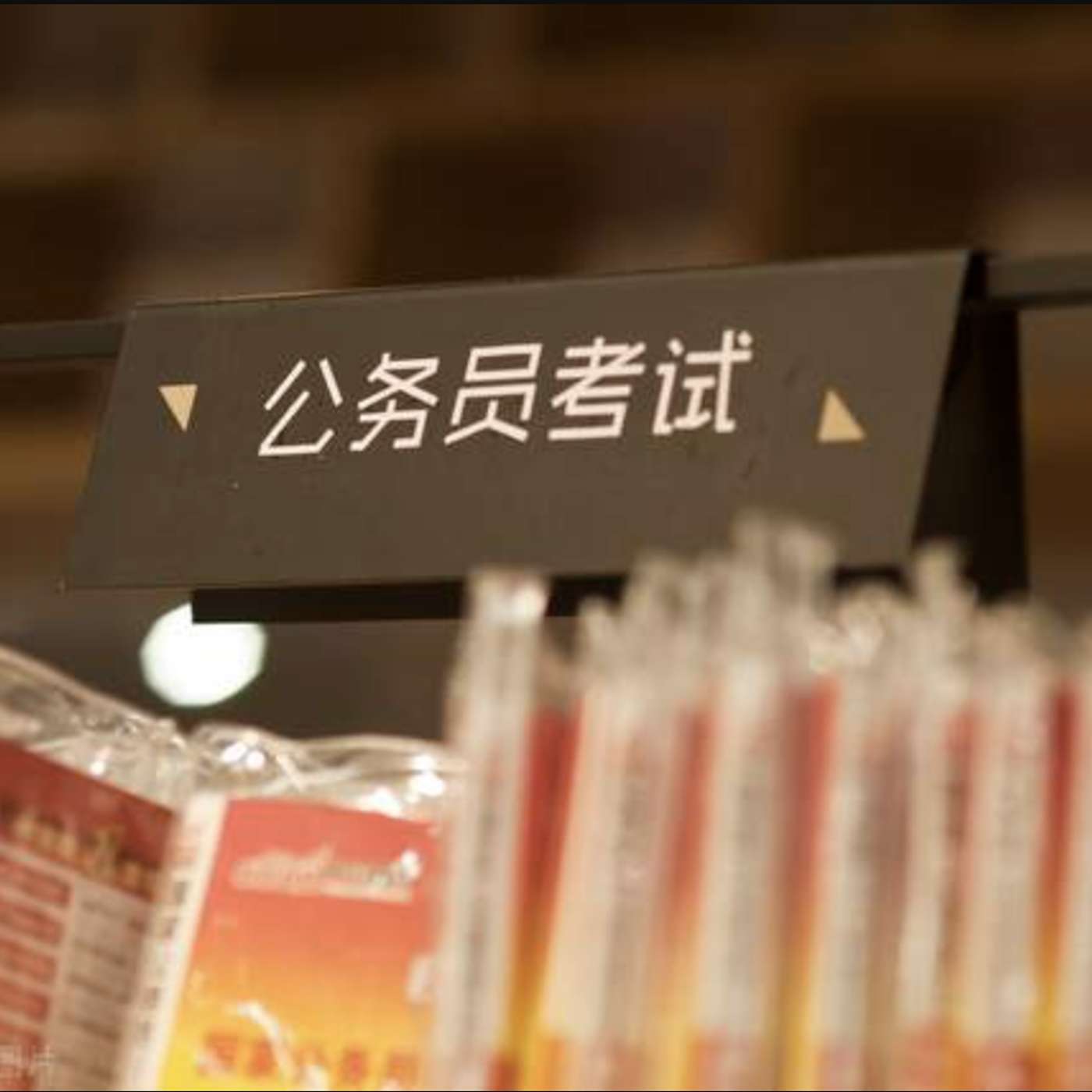 为什么越来越多人考公？ | Why So Many People Take the Civil Service Exam in China?