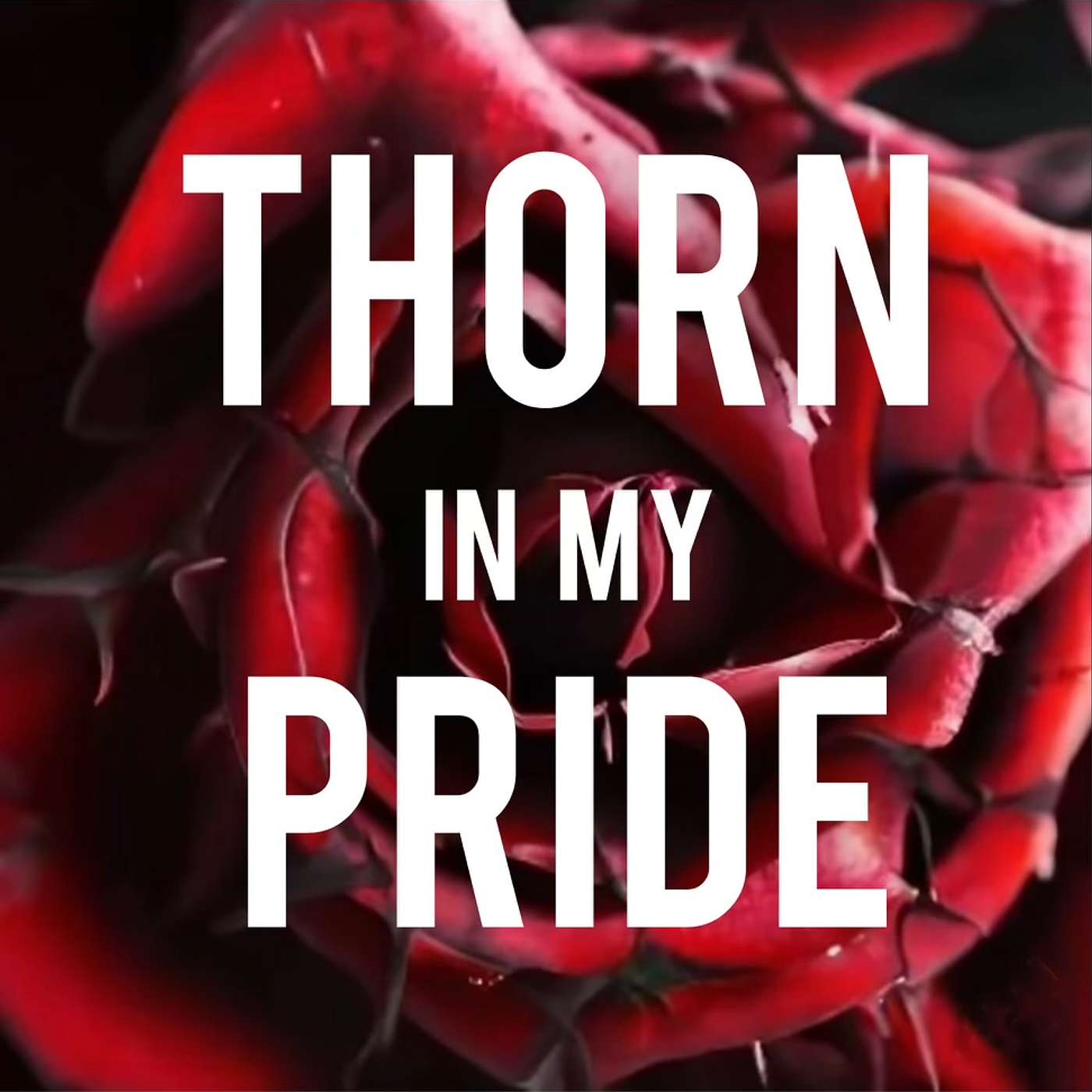 Thorn In My Pride Podcast podcast artwork