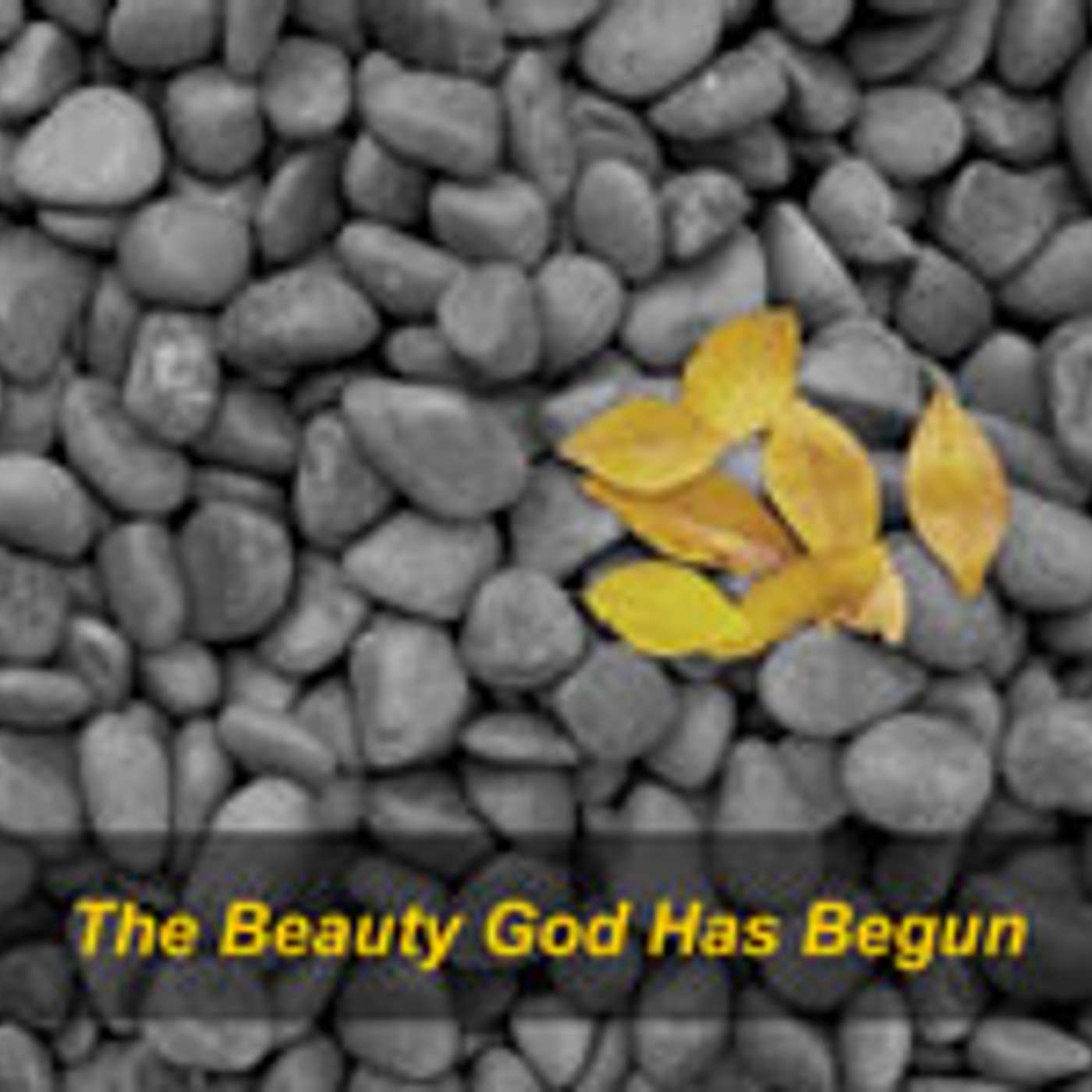 The Beauty God Has Begun