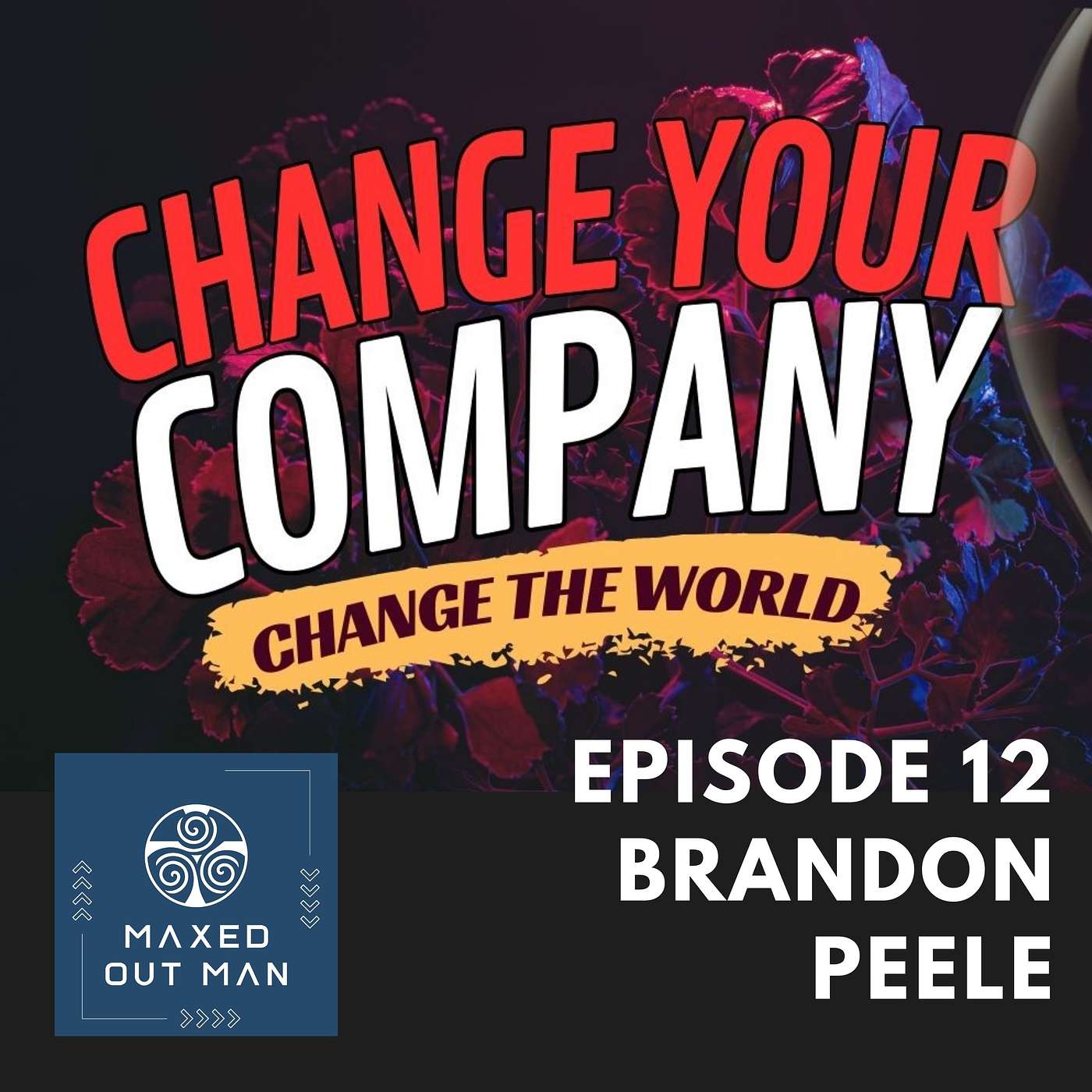 Episode 12 - Change Your Company...Change the World! - Brandon Peele episode artwork