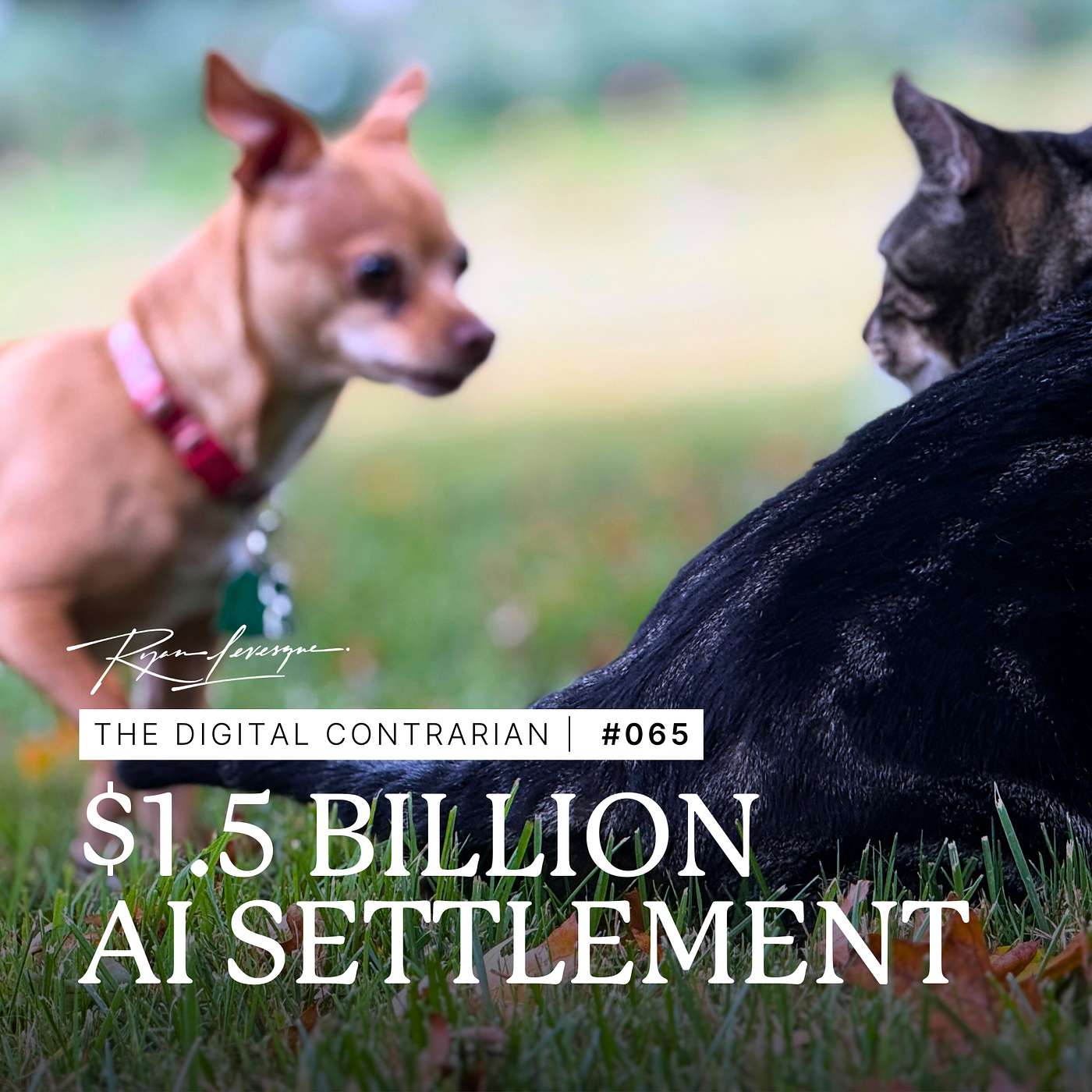 TDC 065:The AI Battle Brewing Beneath the Surface Plus 27 Vermont Farm Mastermind Takeaways TDC 065:The AI Battle Brewing Beneath the Surface Plus 27 Vermont Farm Mastermind Takeaways