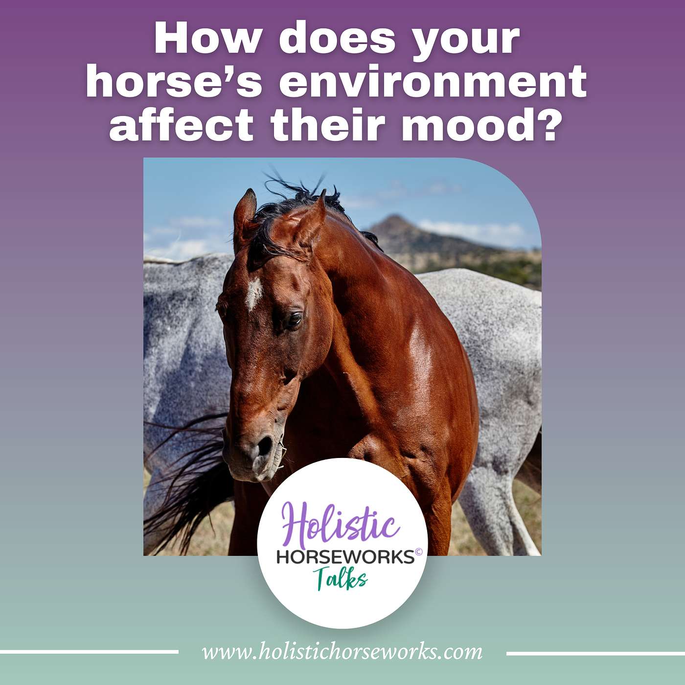 Holistic Horseworks Talks with April Love