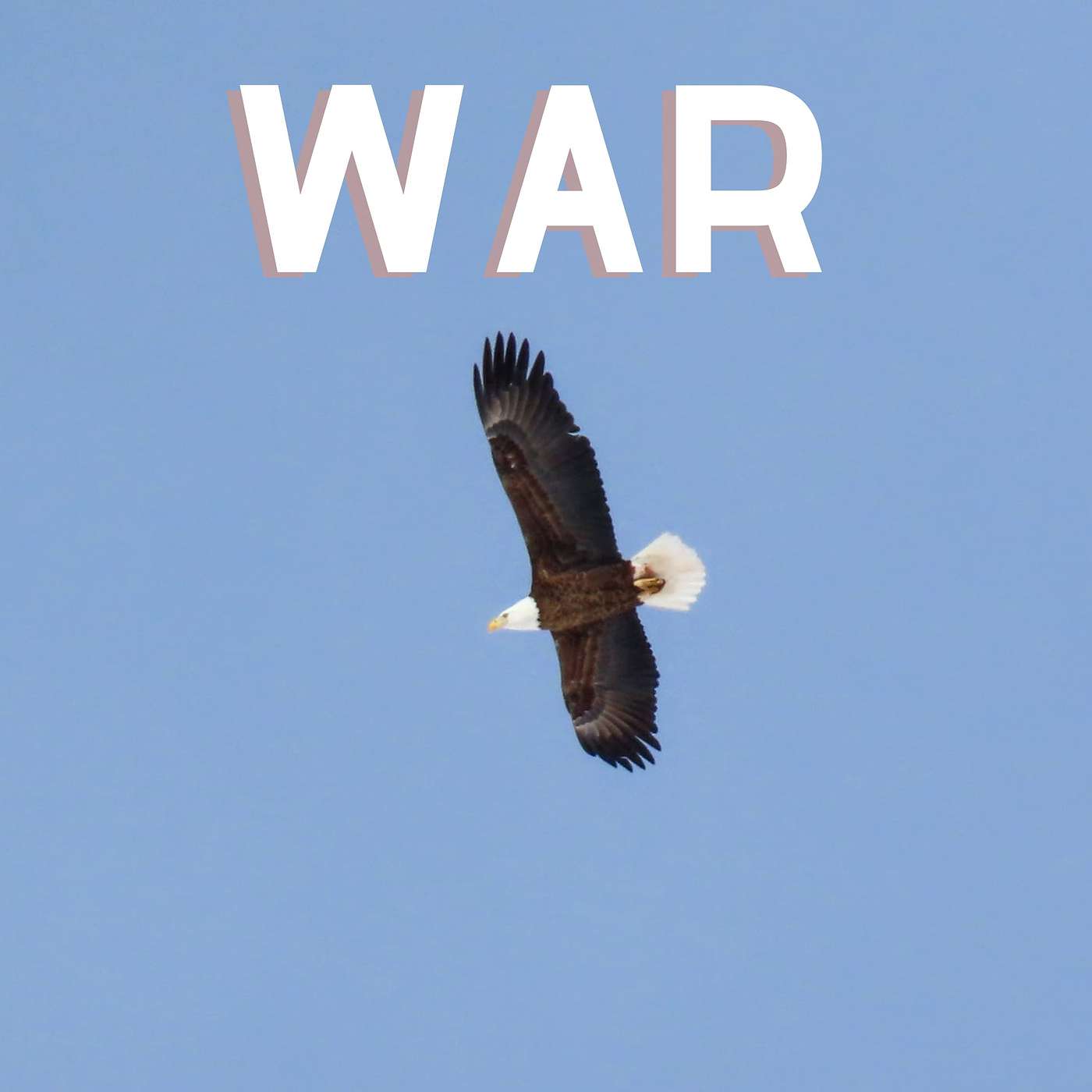 War episode artwork