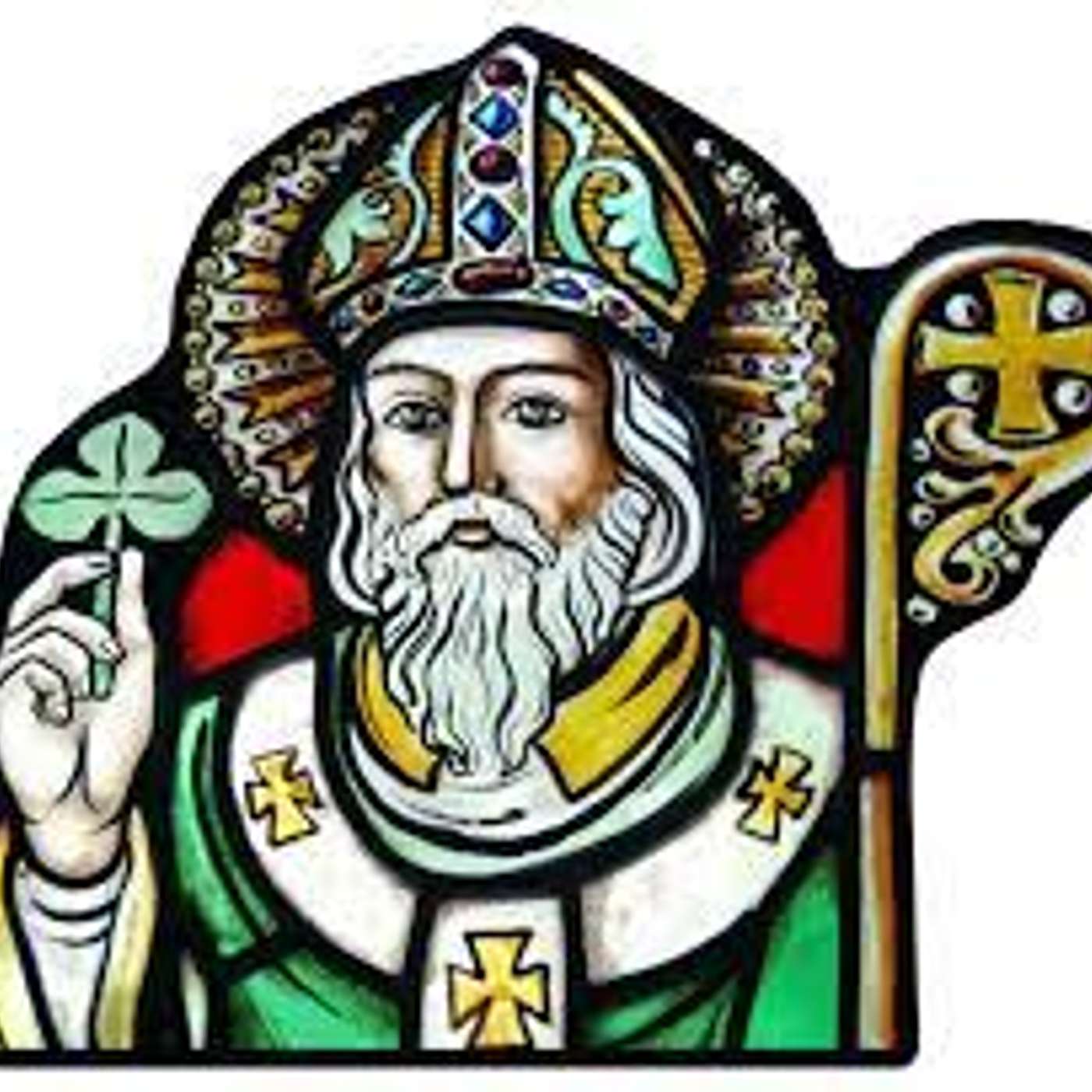 Teacher Tails - Karrer Shorts