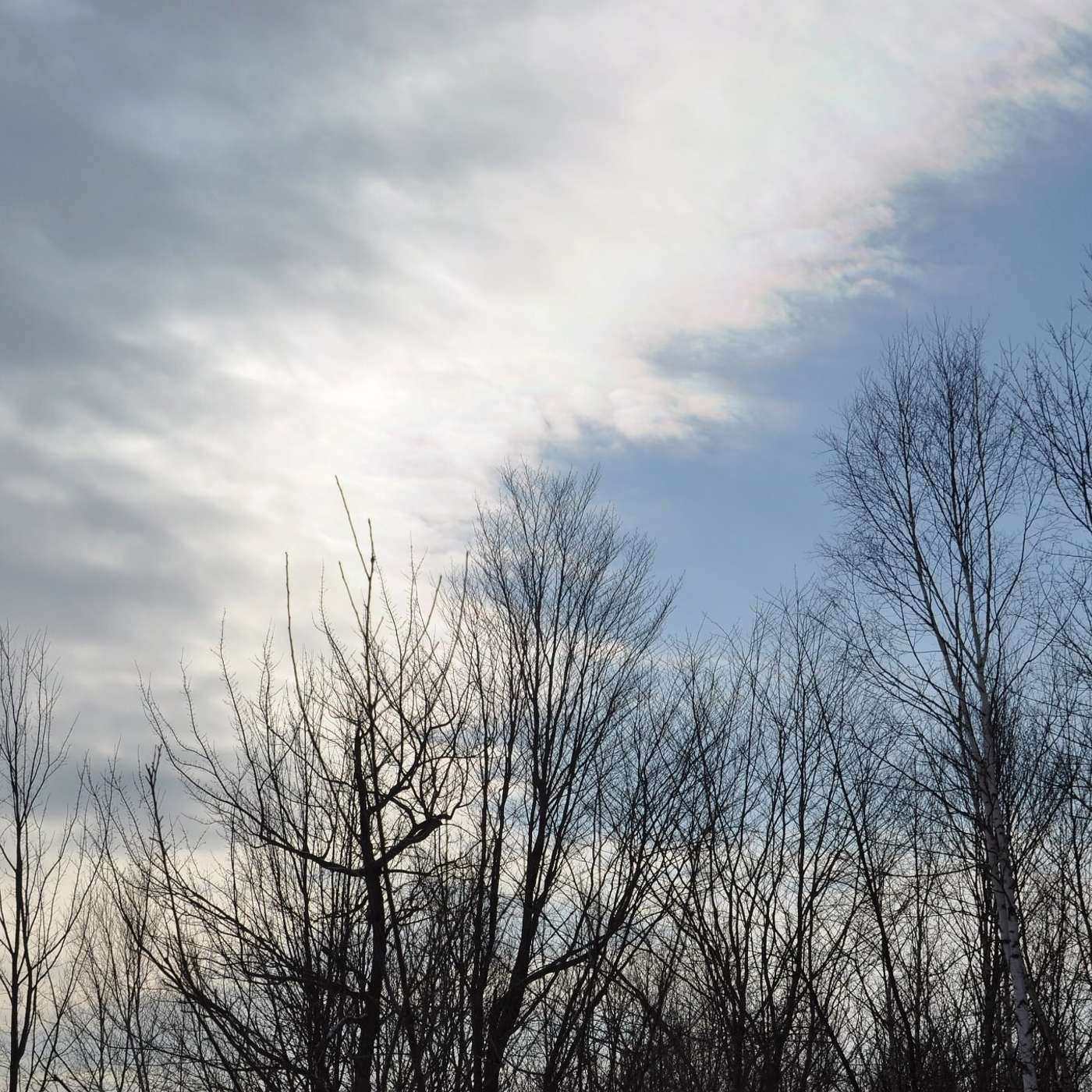 INTERMITTENT WEATHER