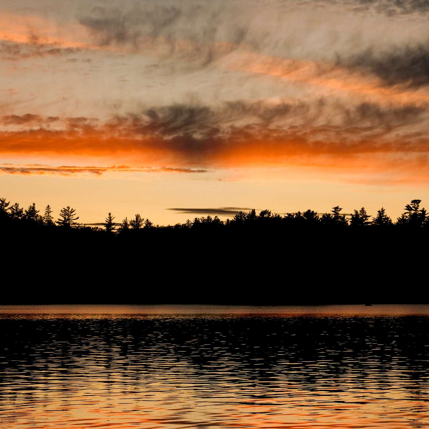 秋游，有Blackpink的七年，油管频道更新 School Camping Trip, Seven Years with Blackpink, and YouTube Channel Update