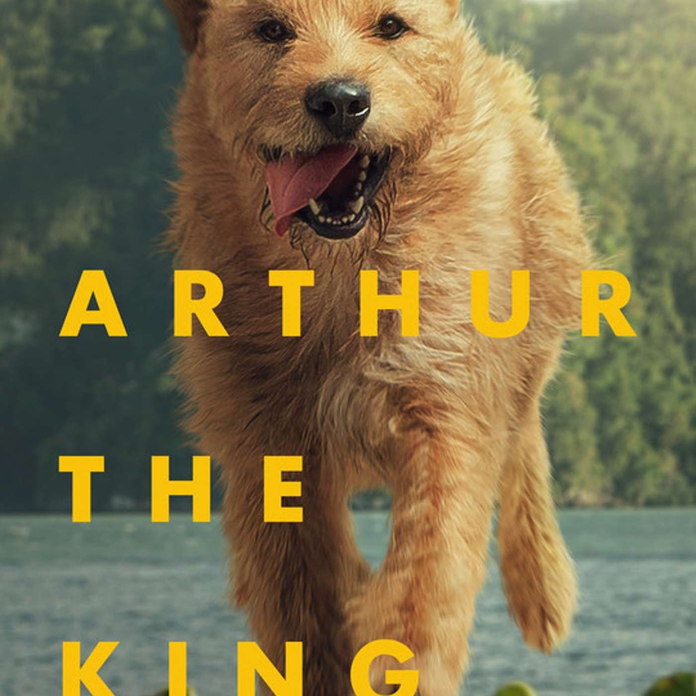 Arthur The King review