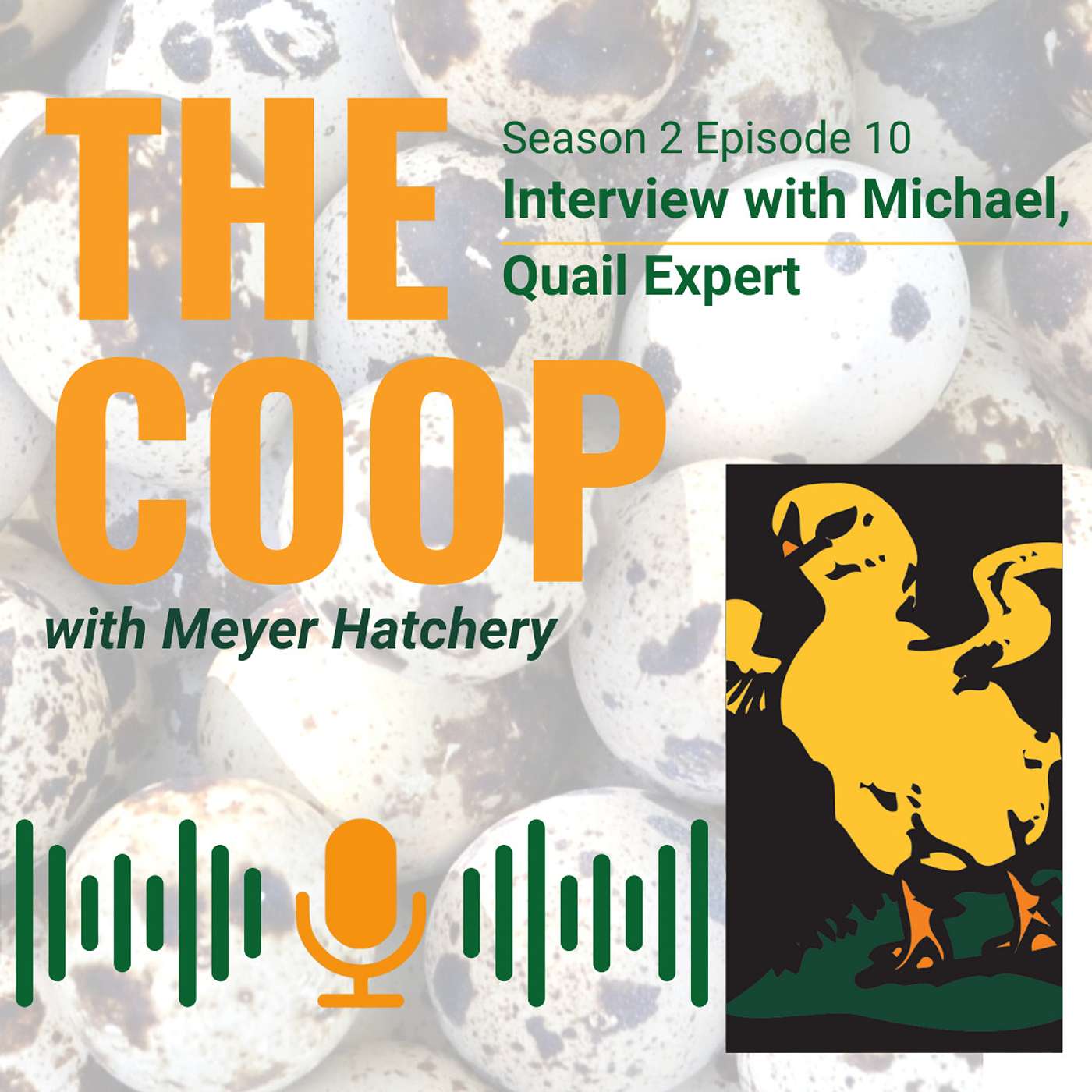 The Coop with Meyer Hatchery