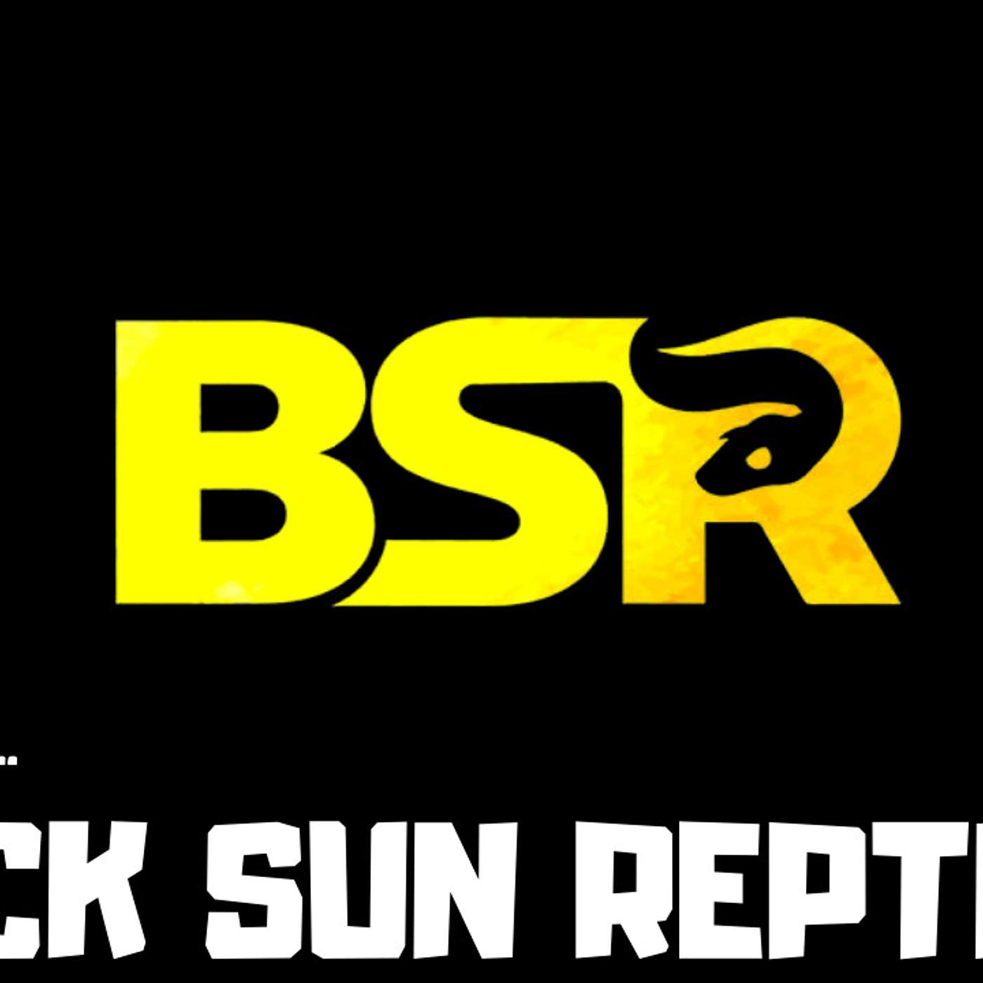 #167 RODNEY OF BLACK SUN REPTILES | BALL PYTHON BREEDER | NEW BREEDER ON THE BLOCK | TRAP TALK