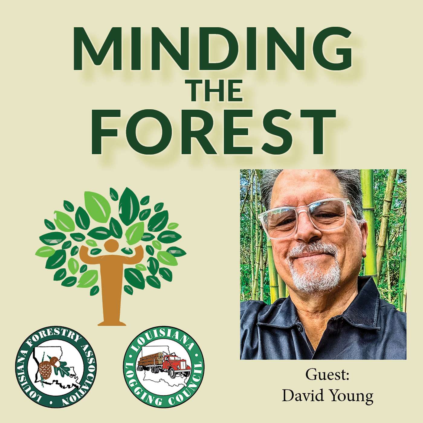 Minding the Forest