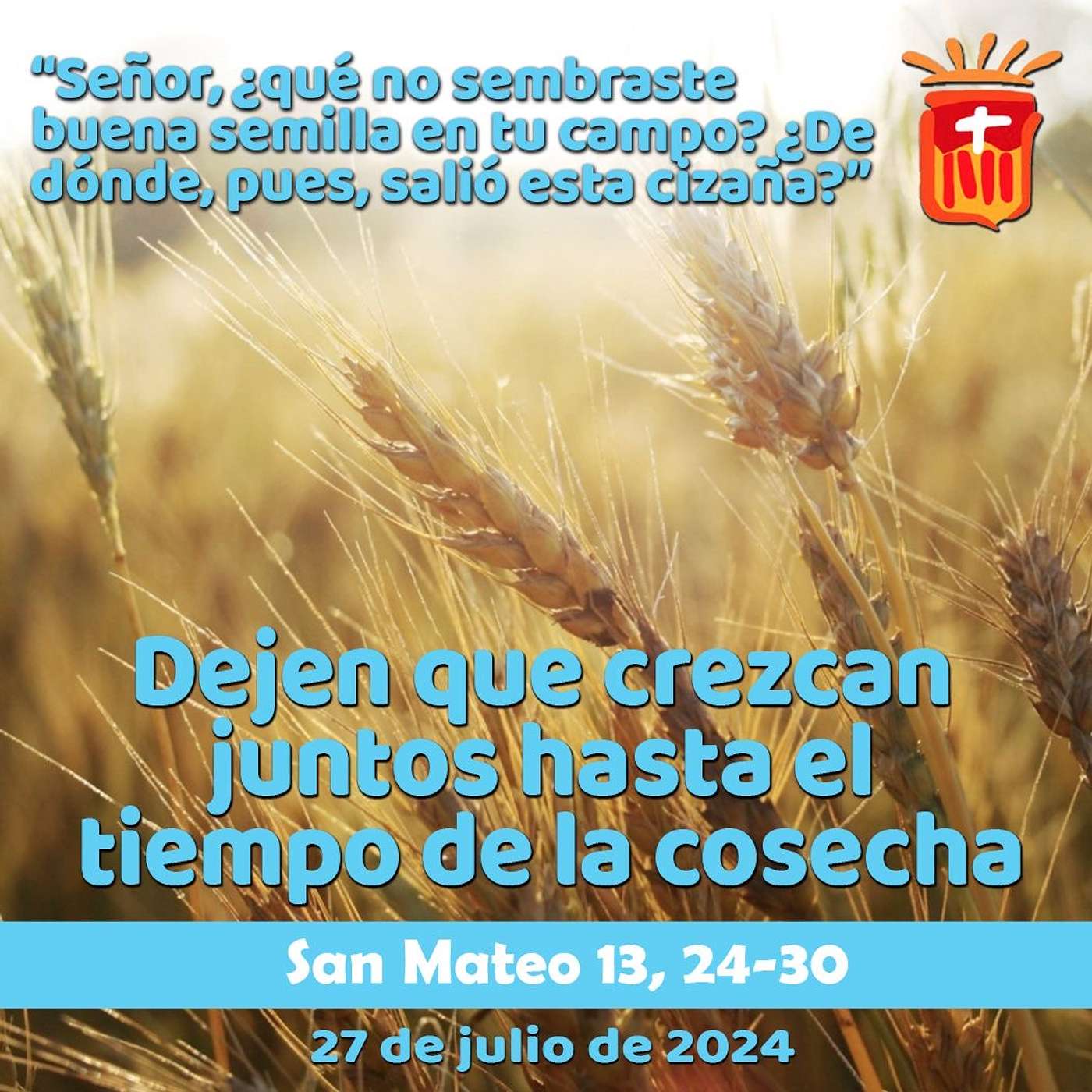 2024-07-27 San Mateo 13, 24-30: Sábado XVI Ordinario.