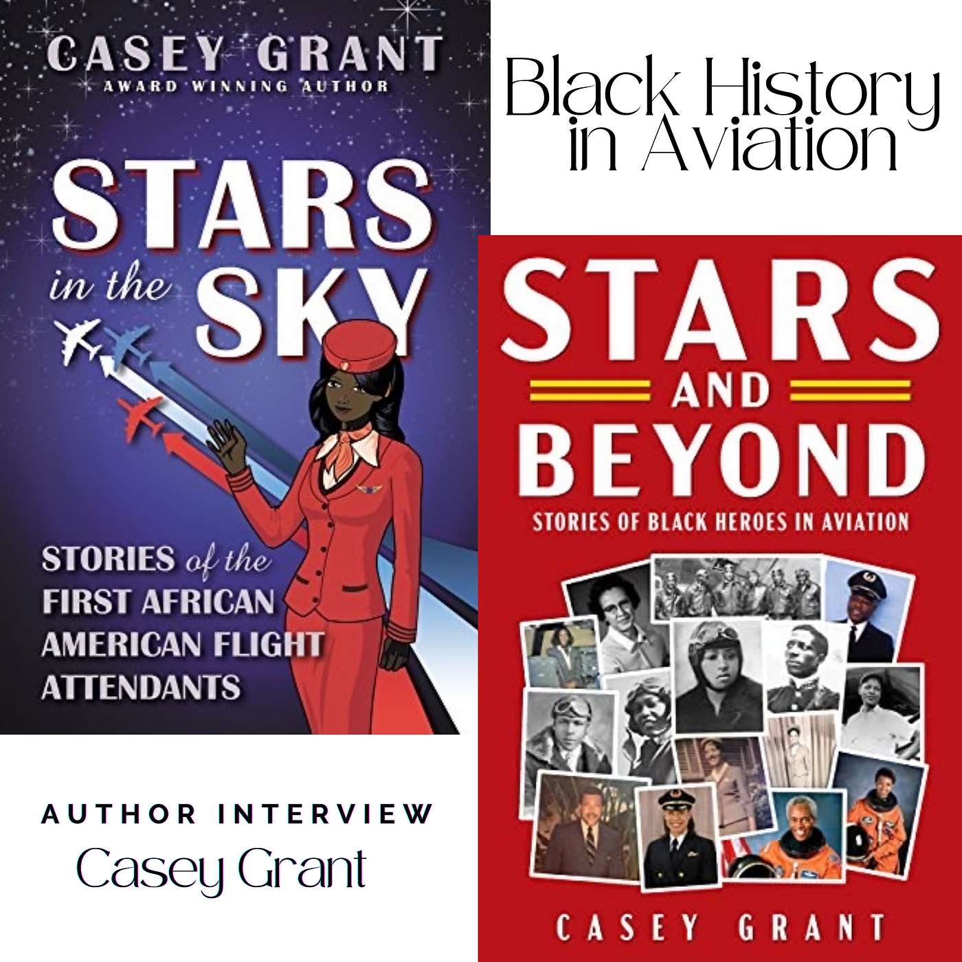 Literary Aviatrix: The Power of Story - Women in Aviation