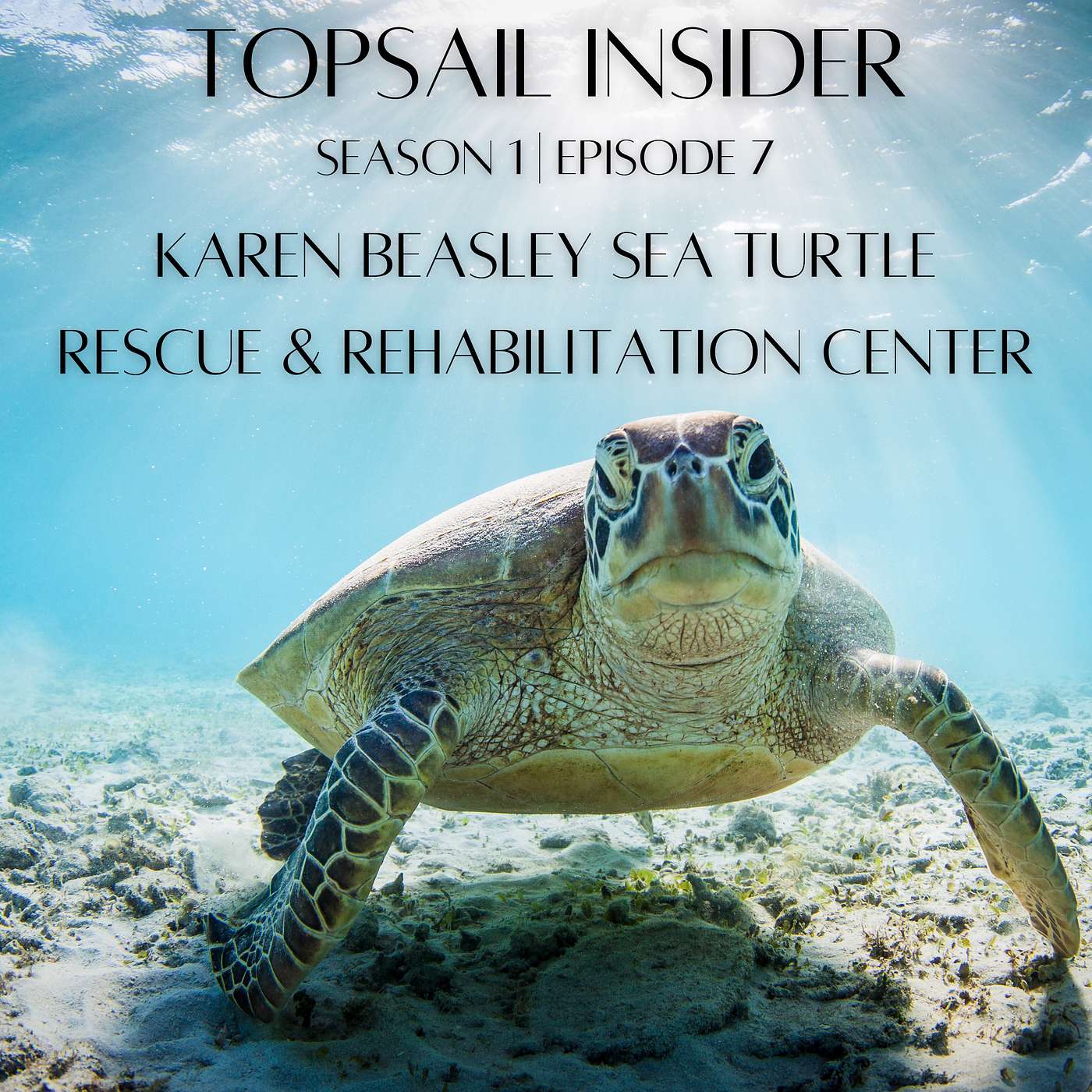 Karen Beasley Sea Turtle Rescue & Rehabilitation Center