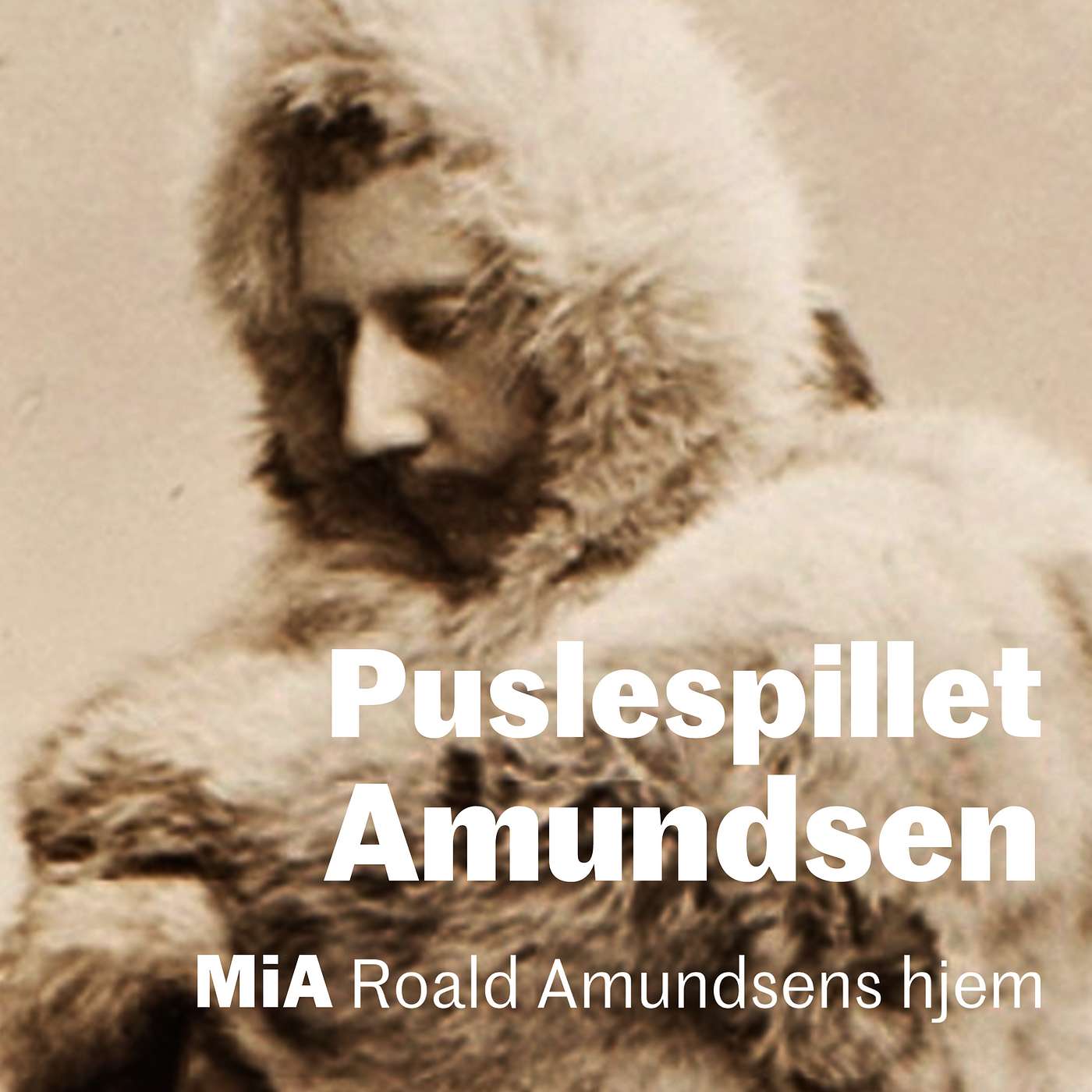 Puslespillet Amundsen