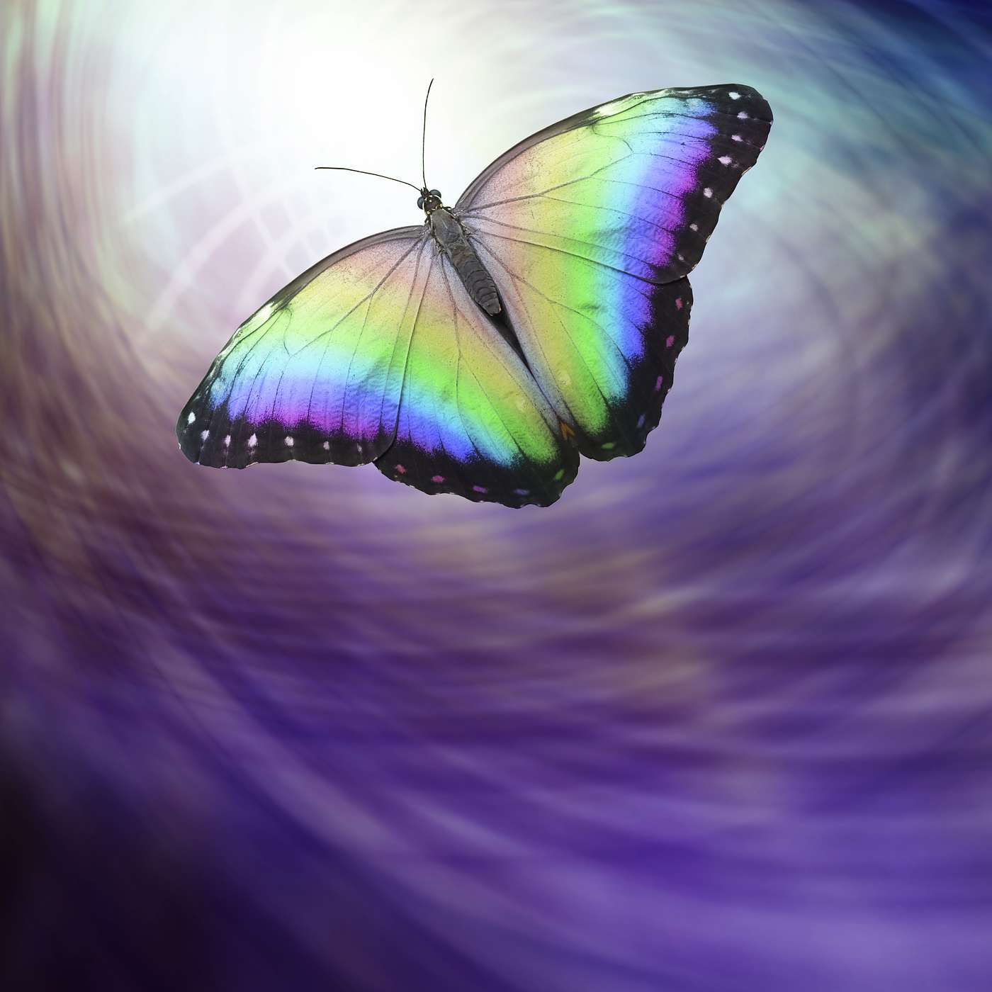 Walking Between the Worlds Walking Between the Worlds