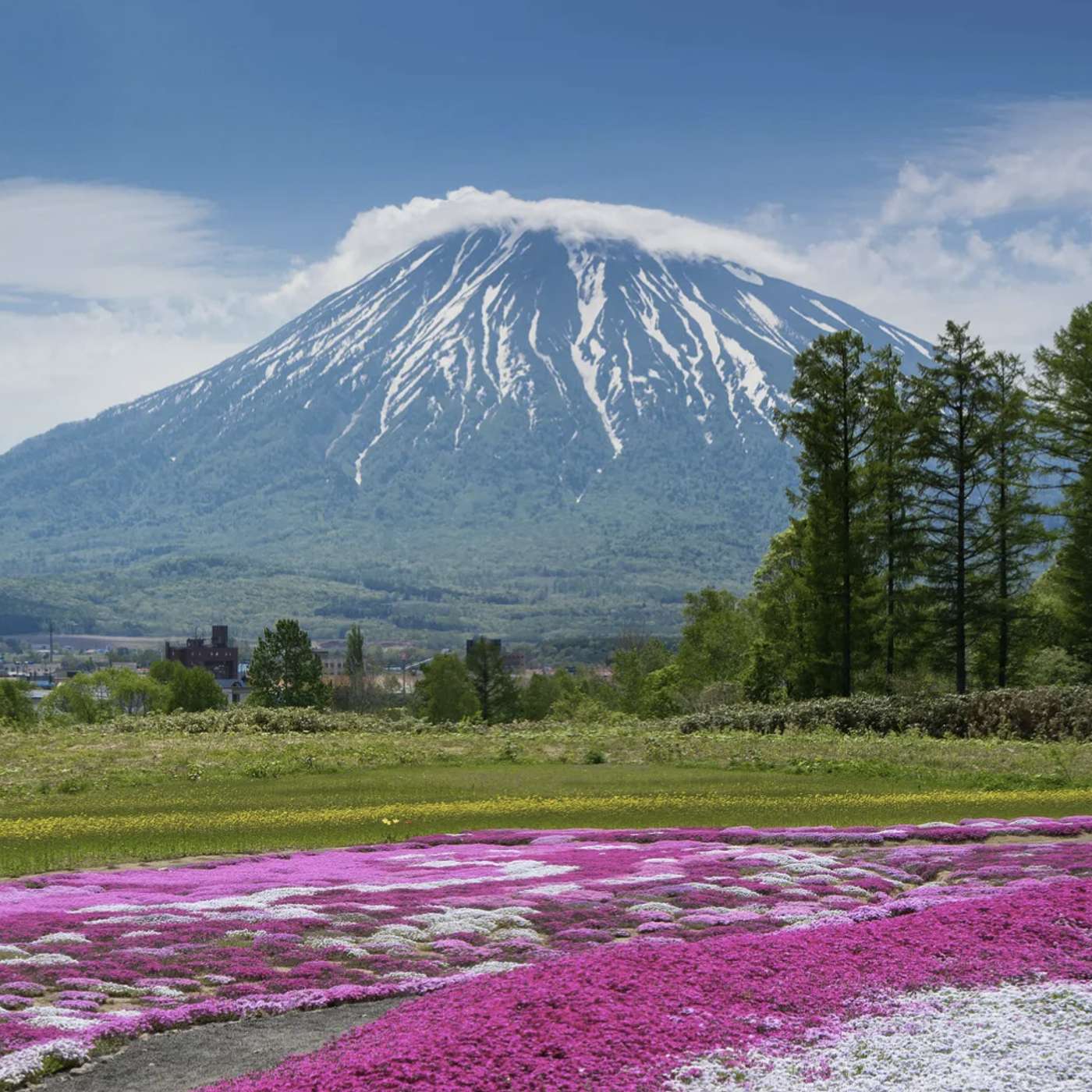 今年暑假的旅行计划：北海道和中亚 | This Summer’s Travel Plans: Hokkaido and Central Asia