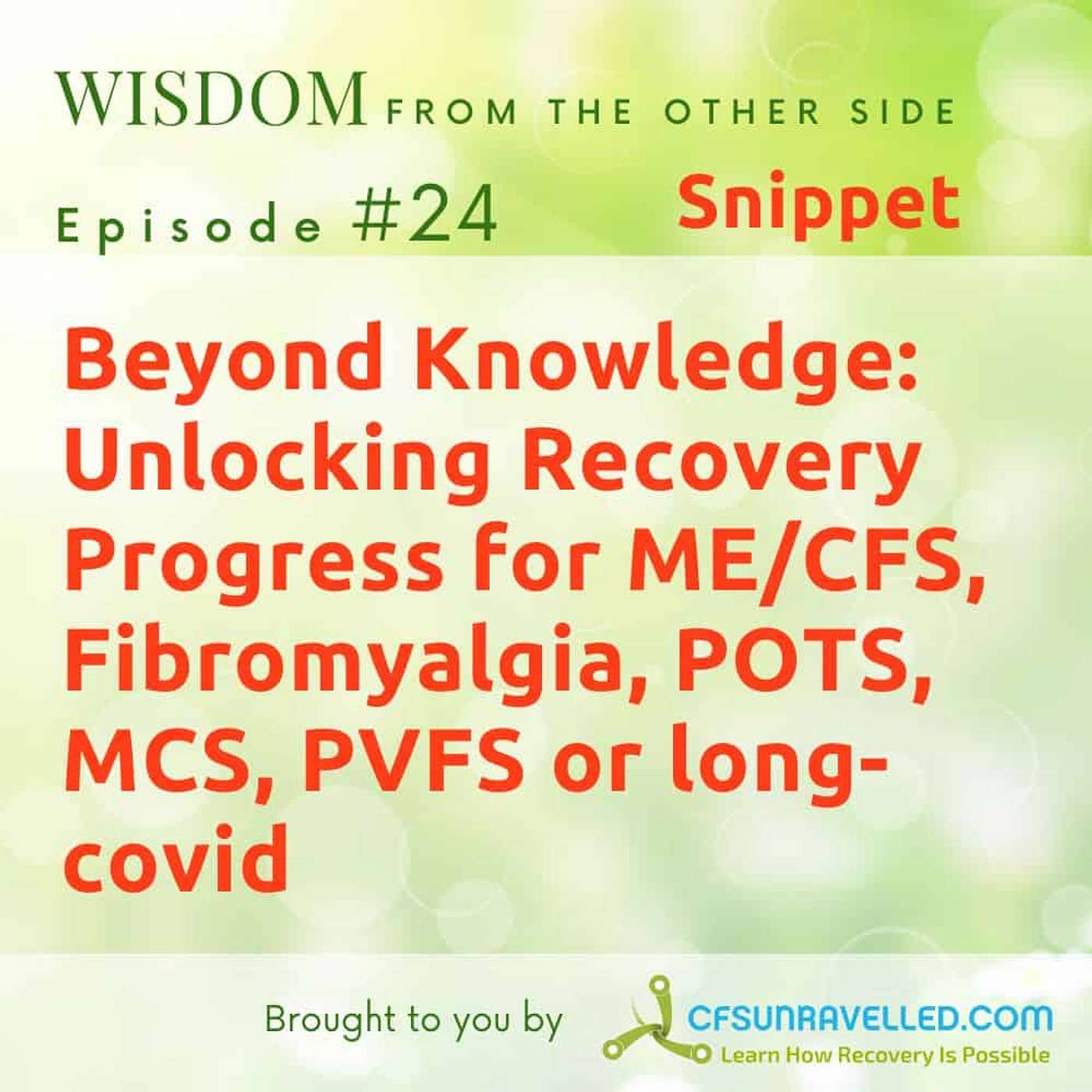 Wisdom From The Other Side Of Recovery from Fibromyalgia, ME, CFS, POTS & MCS