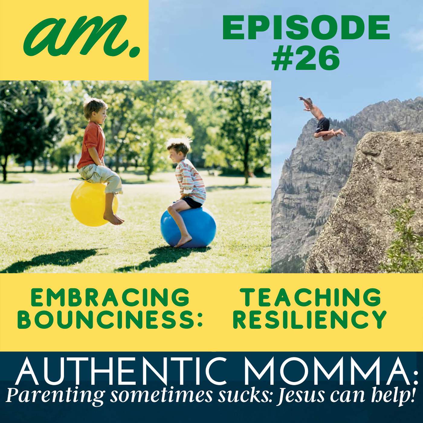 Embracing Bounciness: Training Resiliency
