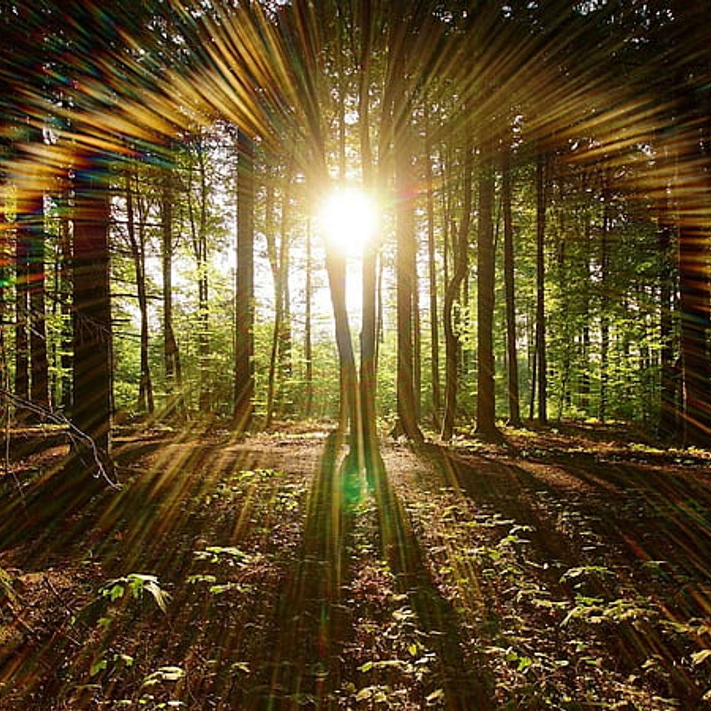 Djehuty Speaks 27- Goddess Past Present and Future 15 - The Future, A Return to Receptivity