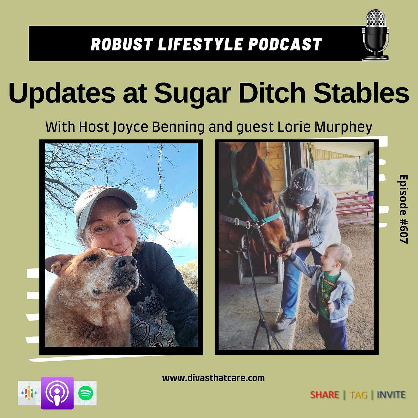 Updates at Sugar Ditch Stables episode artwork