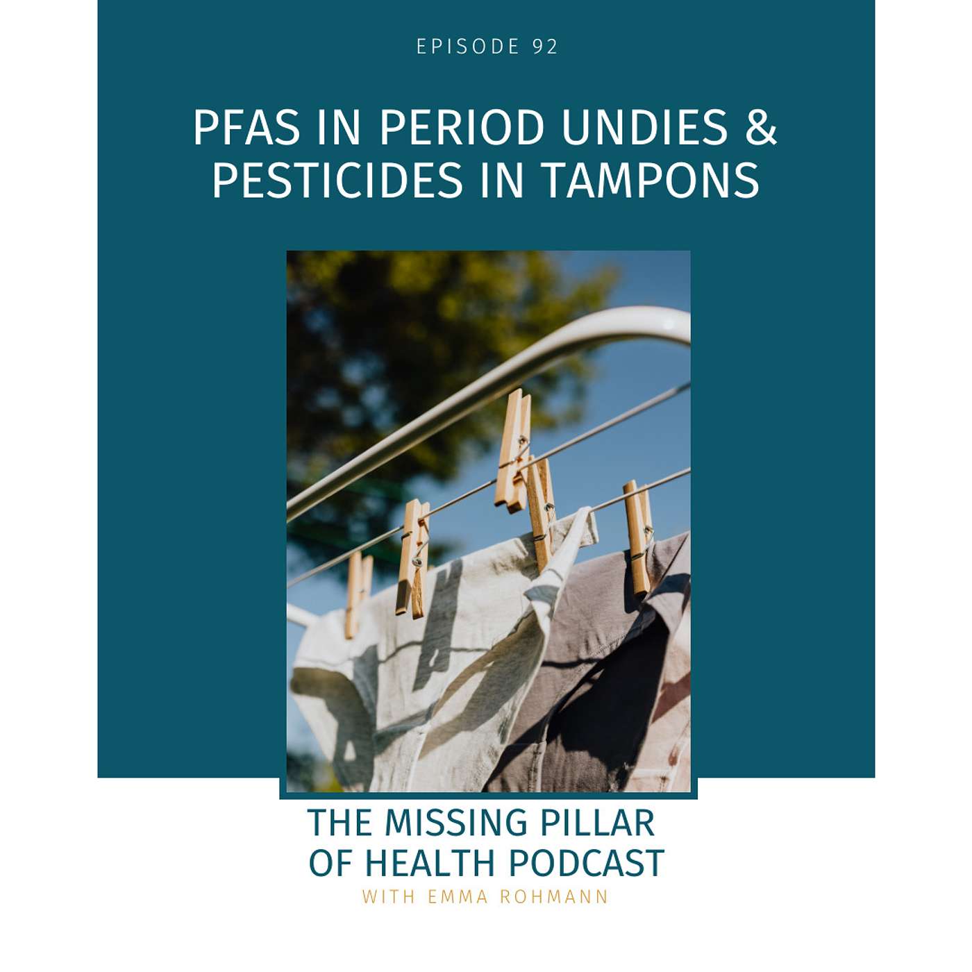 The Missing Pillar of Health Podcast