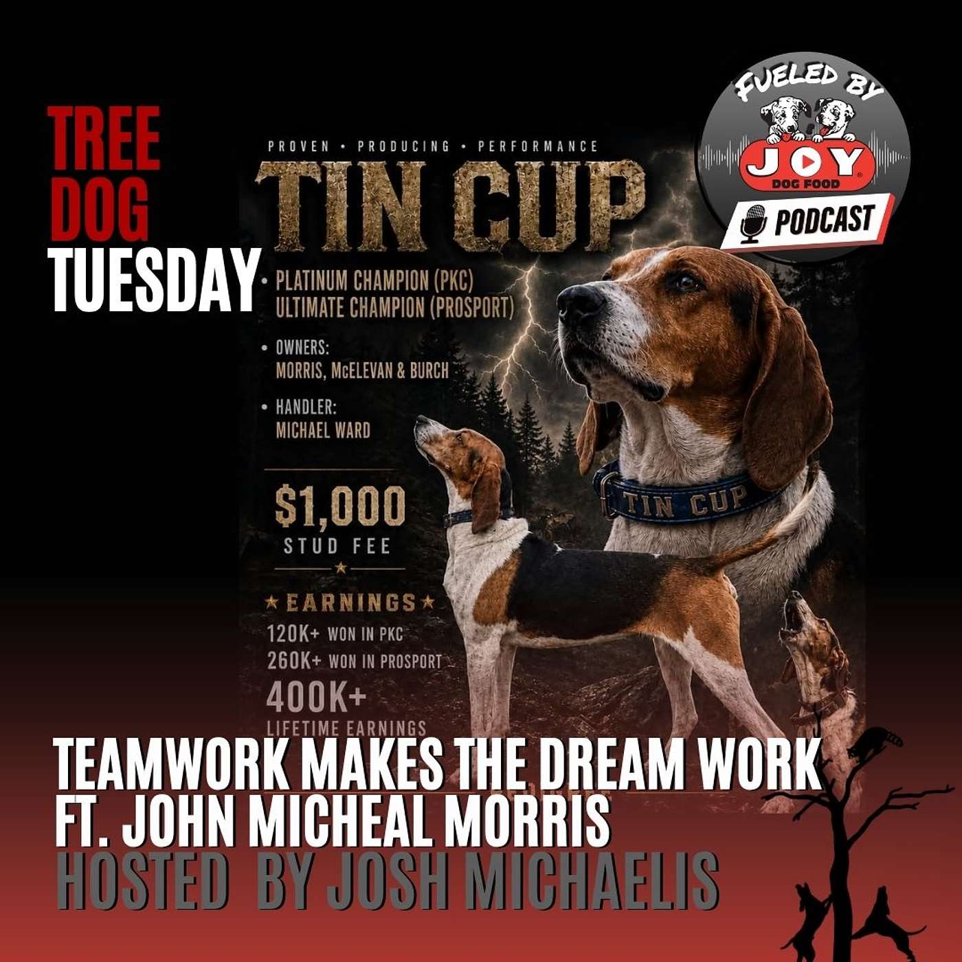 Teamwork Makes the Dream Work (Ft John Michael Morris) episode artwork