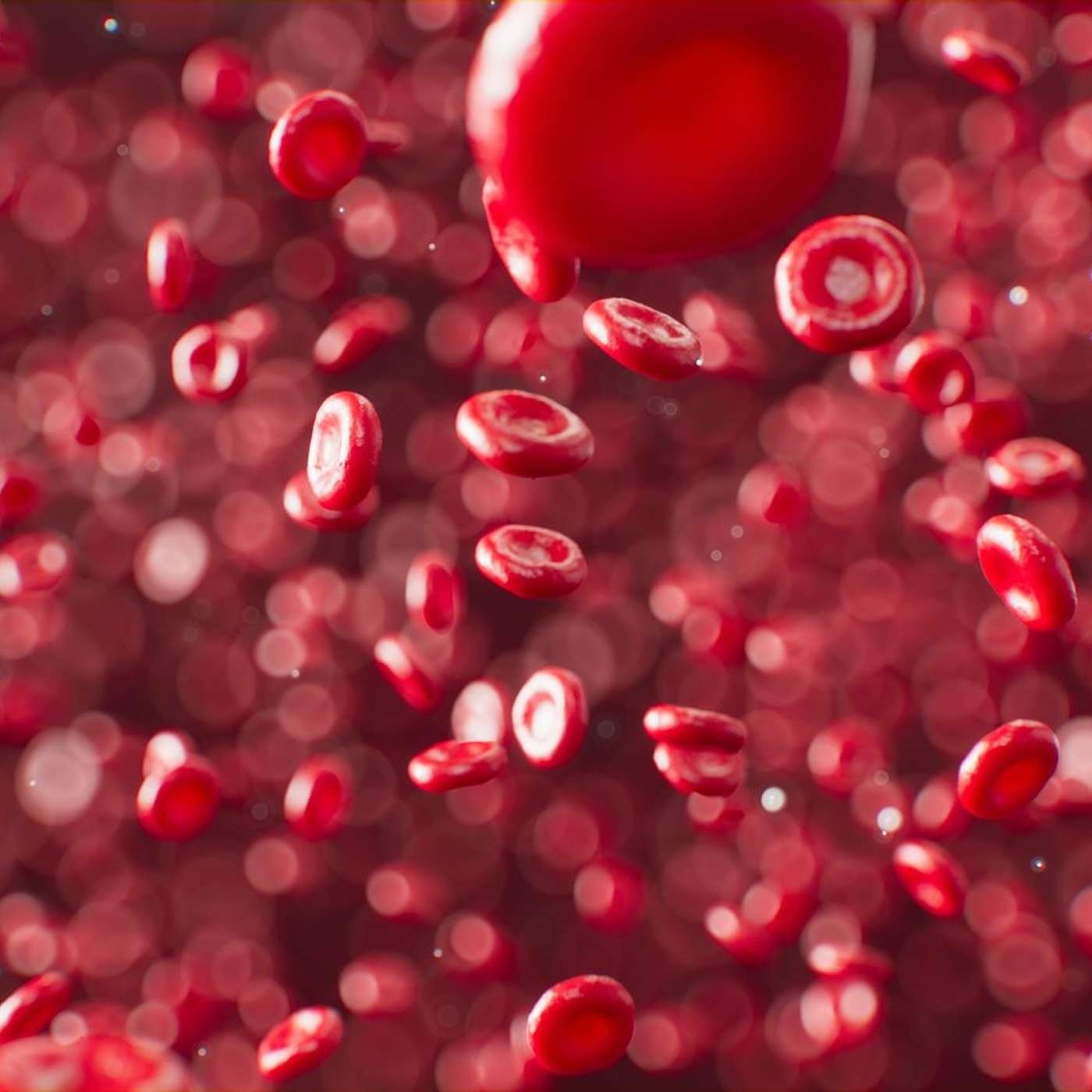 "How Does a Red Blood Cell or a Sperm Cell Receive Nerve Impulses in Order to Function?