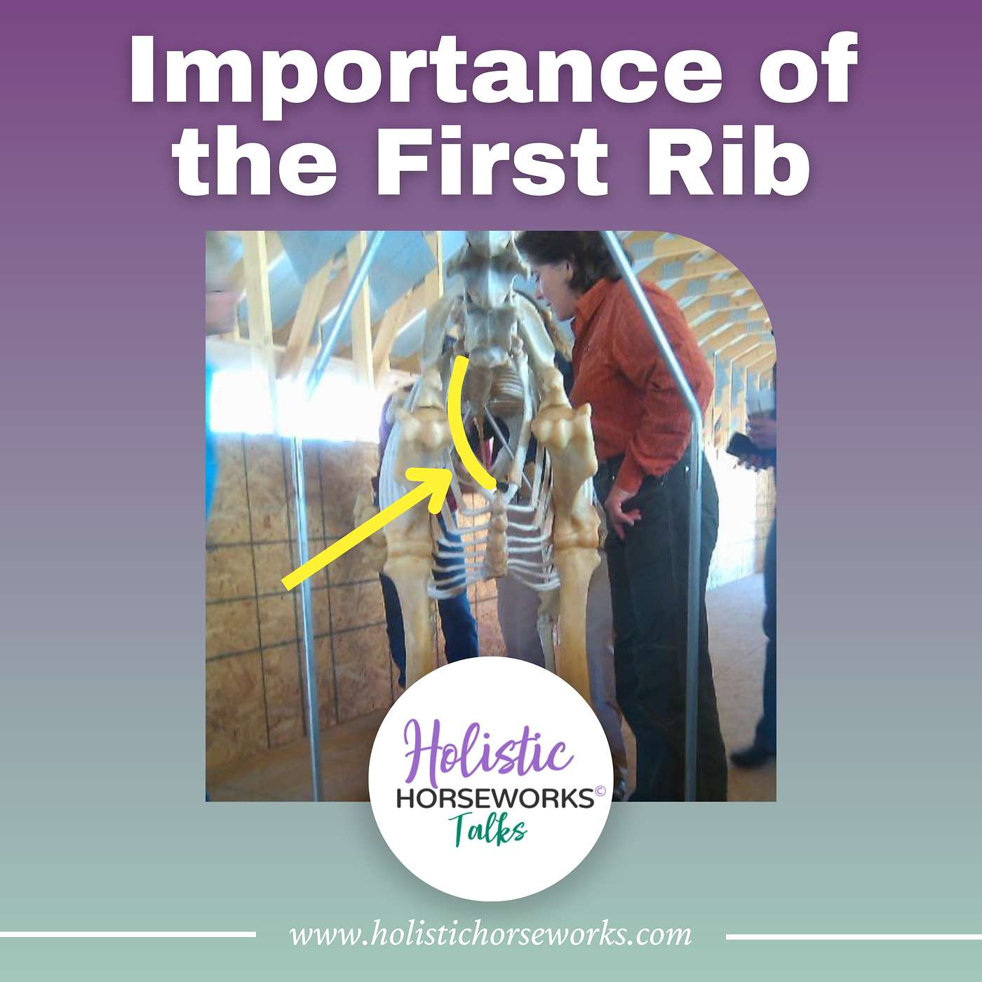 Holistic Horseworks Talks with April Love - The Importance of the First Rib in Horses