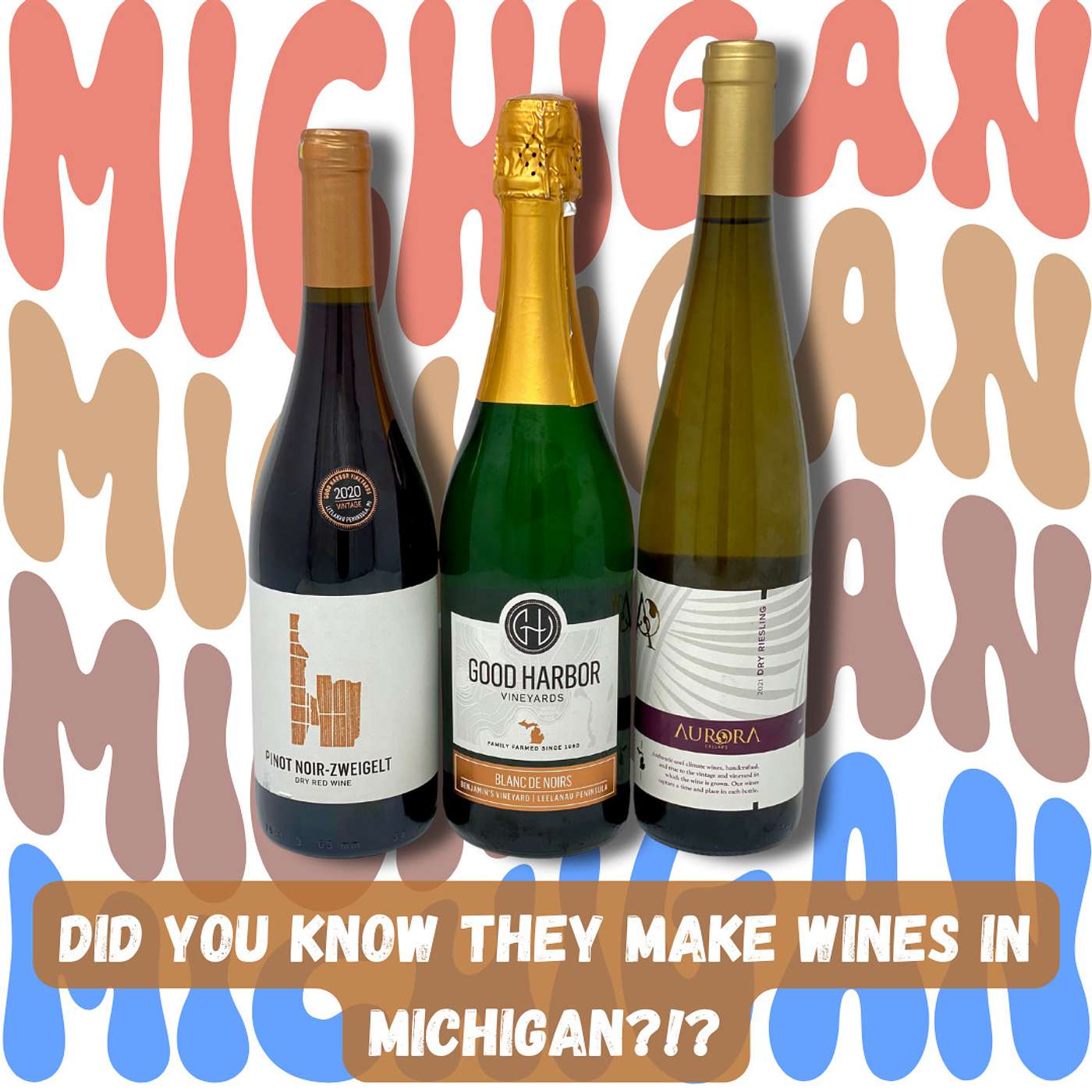 They Make Wine in Michigan?!?  (The Riesling Belt, Leelanau Peninsula, and a bunch of other stuff we bet you didn’t know!)